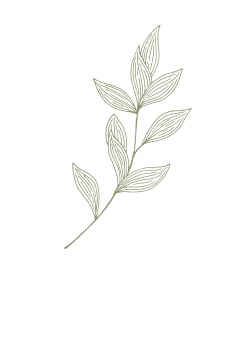 A simple, stylized illustration of a leafy branch with multiple green leaves.