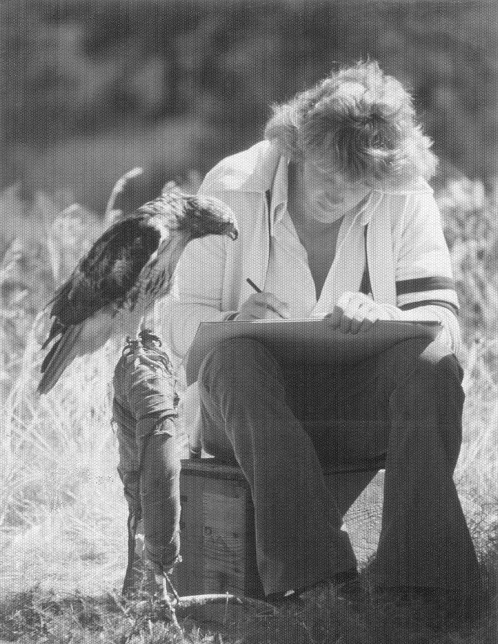 Black and white photo of Steve Pilcher drawing at a wildlife preservation park while a hawk looks at his drawing.