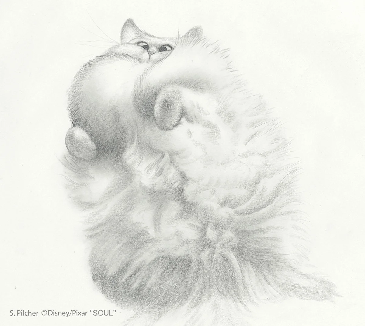 Pencil drawing concept of fluffy Joe cat for the film Soul.