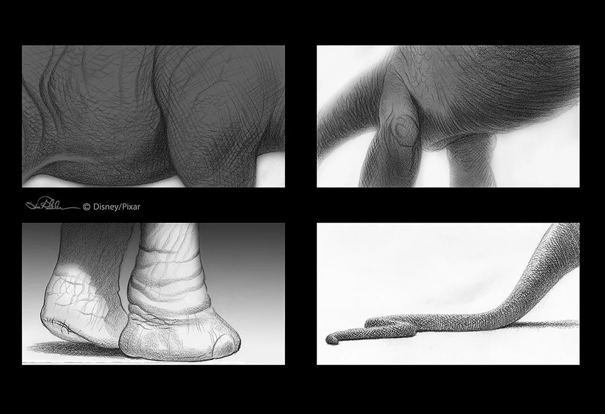 Black and white drawings of various compositions of giant dinosaur, for the film The Good Dinosaur.