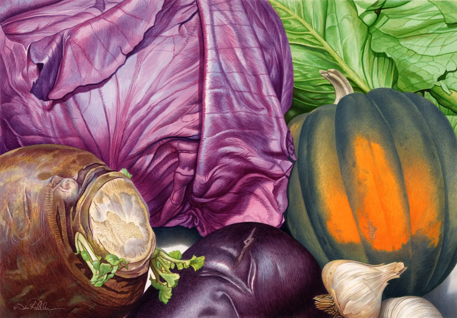Acrylic painting of purple cabbage, brown waxy turnip, dark purple eggplant, garlic, green orange colored squash and light green lettuce close up.