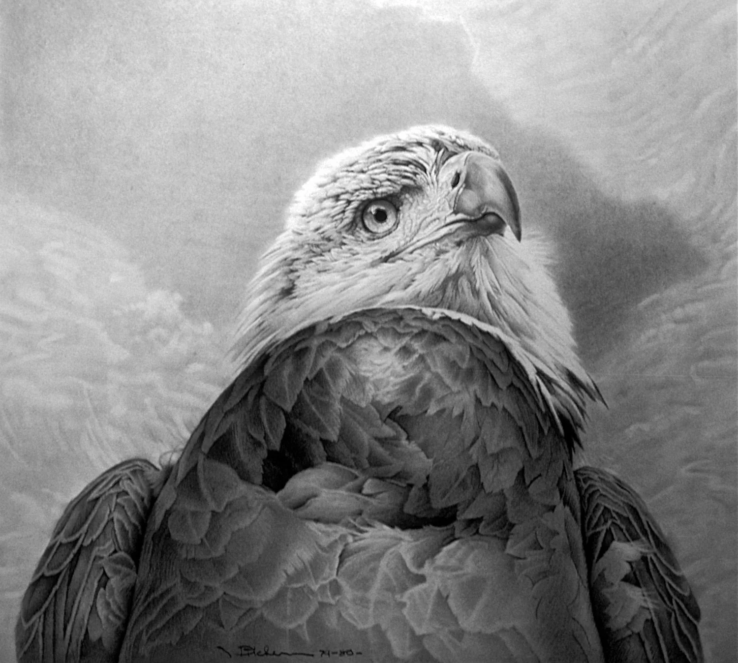 A pencil drawing of a bald eagle looking at the viewer with a turbulent sky in the background.