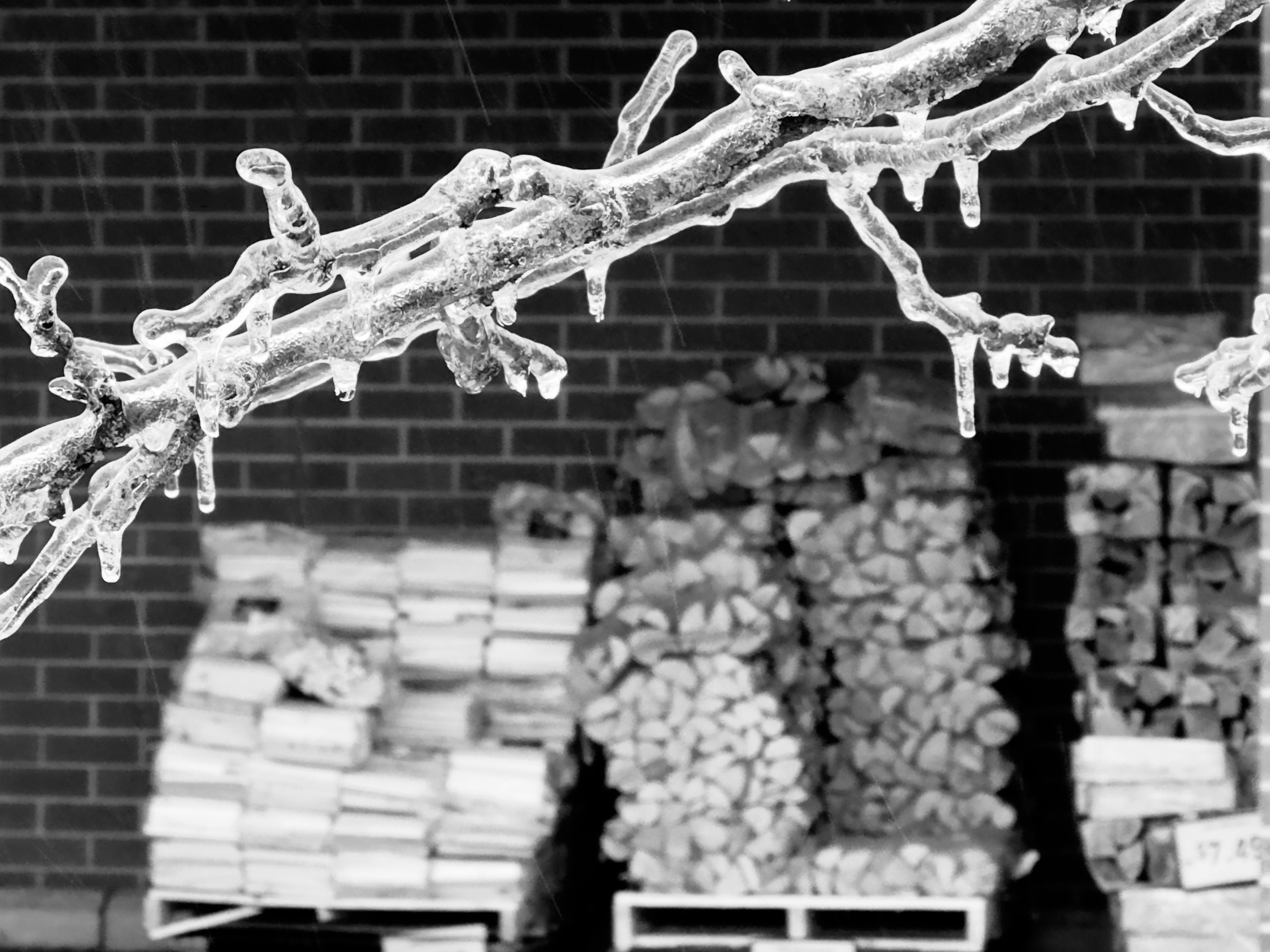 (7) Poughkeepsie, NY - February 2025