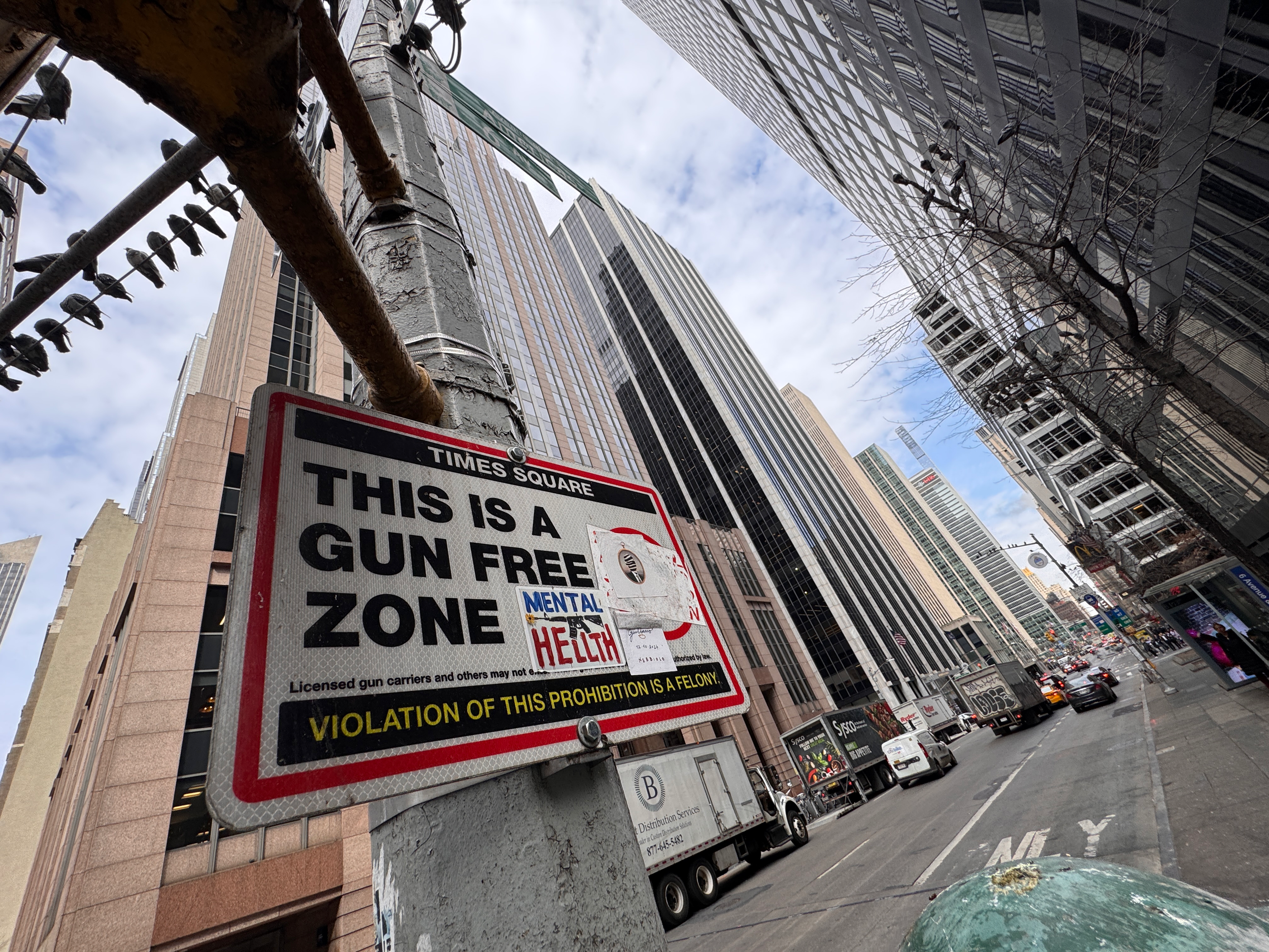 (12) NYC - February 2025