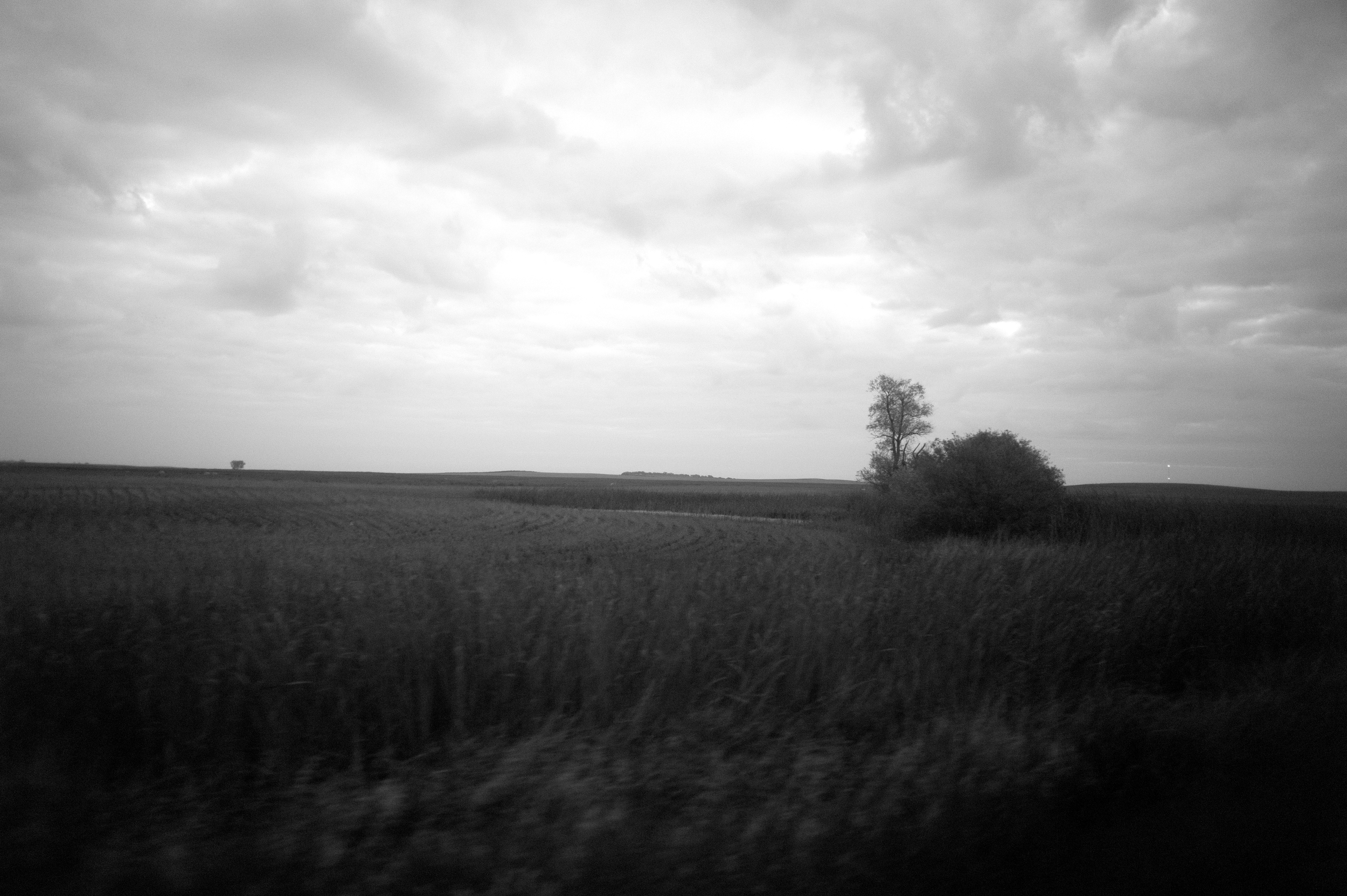 (13) Trees of North Dakota - “Empire Builder” Westbound