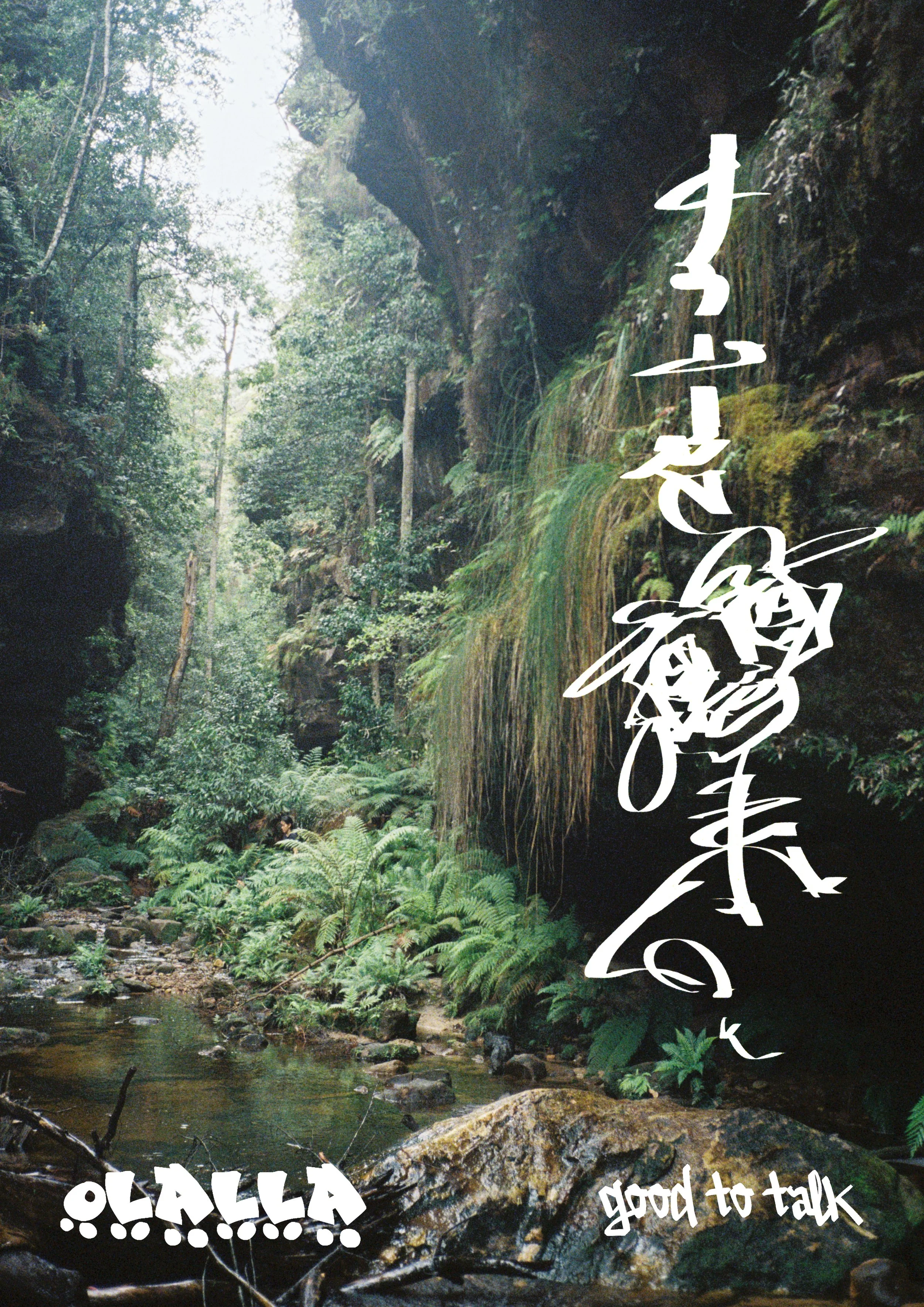 A3 Print olalla rainforest  copy.jpg