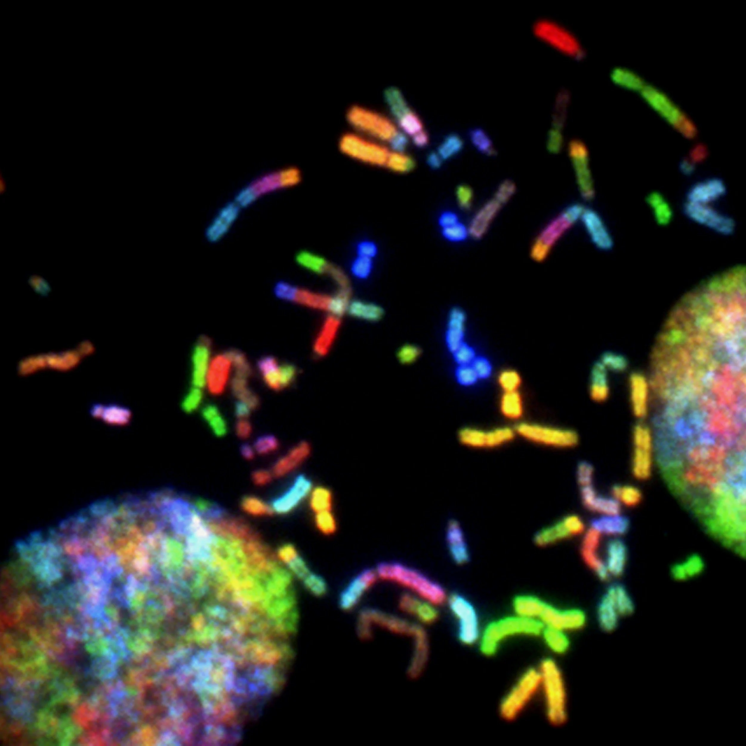 Colorful, glowing microscopic chromosomes and cell nuclei against a black background.
