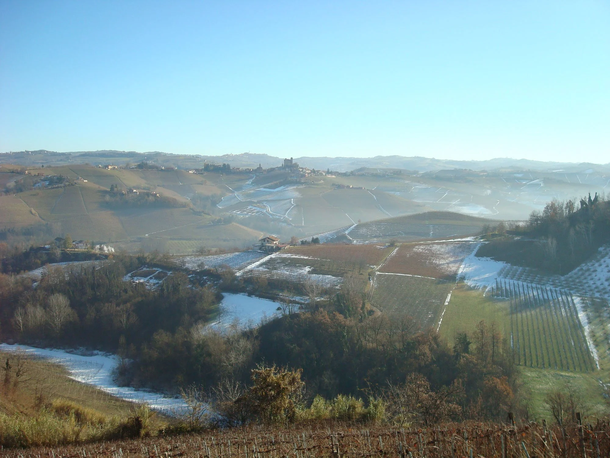 L’Aietta vineyards in Montalcino