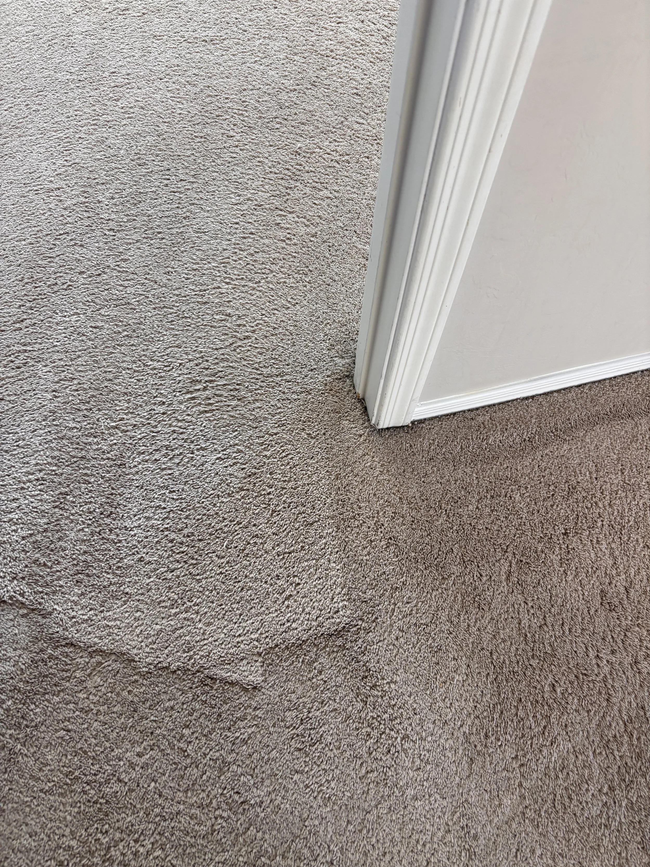 Close-up of a doorway corner with beige carpet on the floor and white-painted molding on the wall.