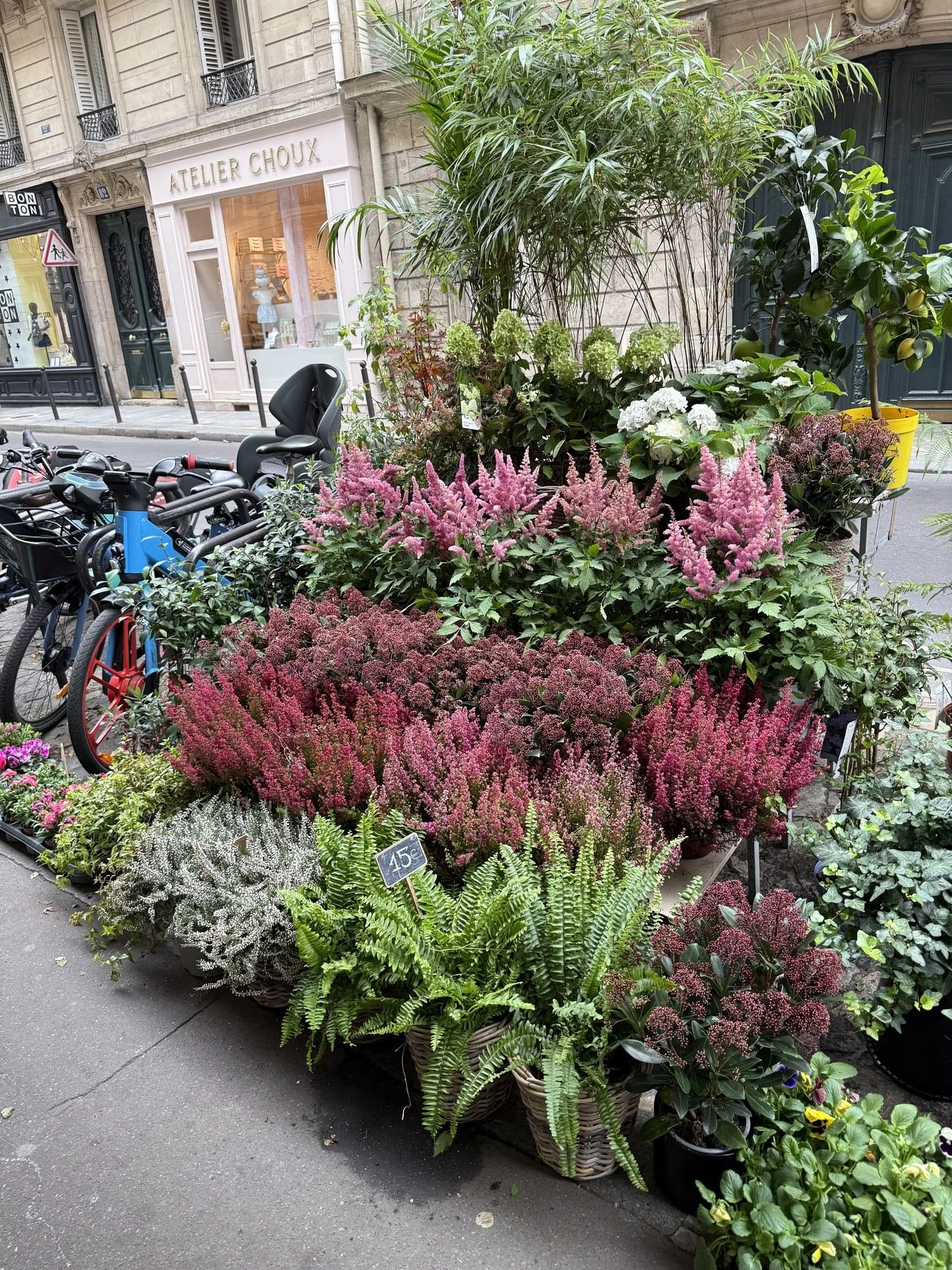 A street-side display of various potted plants and flowers, including pink, white, and purple blossoms, along with some greenery, parked bicycles, and a storefront in the background.