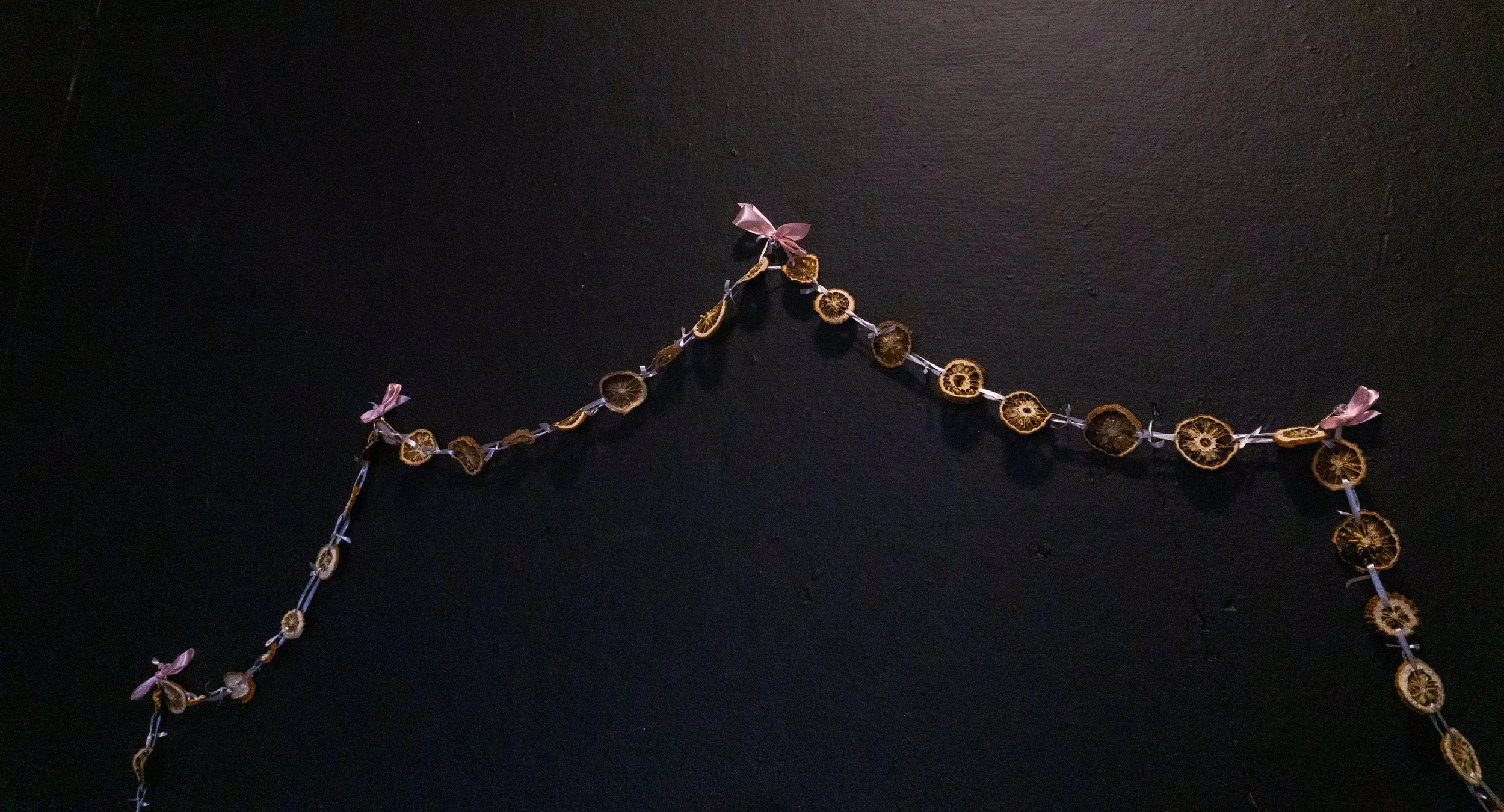 etrog garland, dried etrog slices and ribbon, 2022