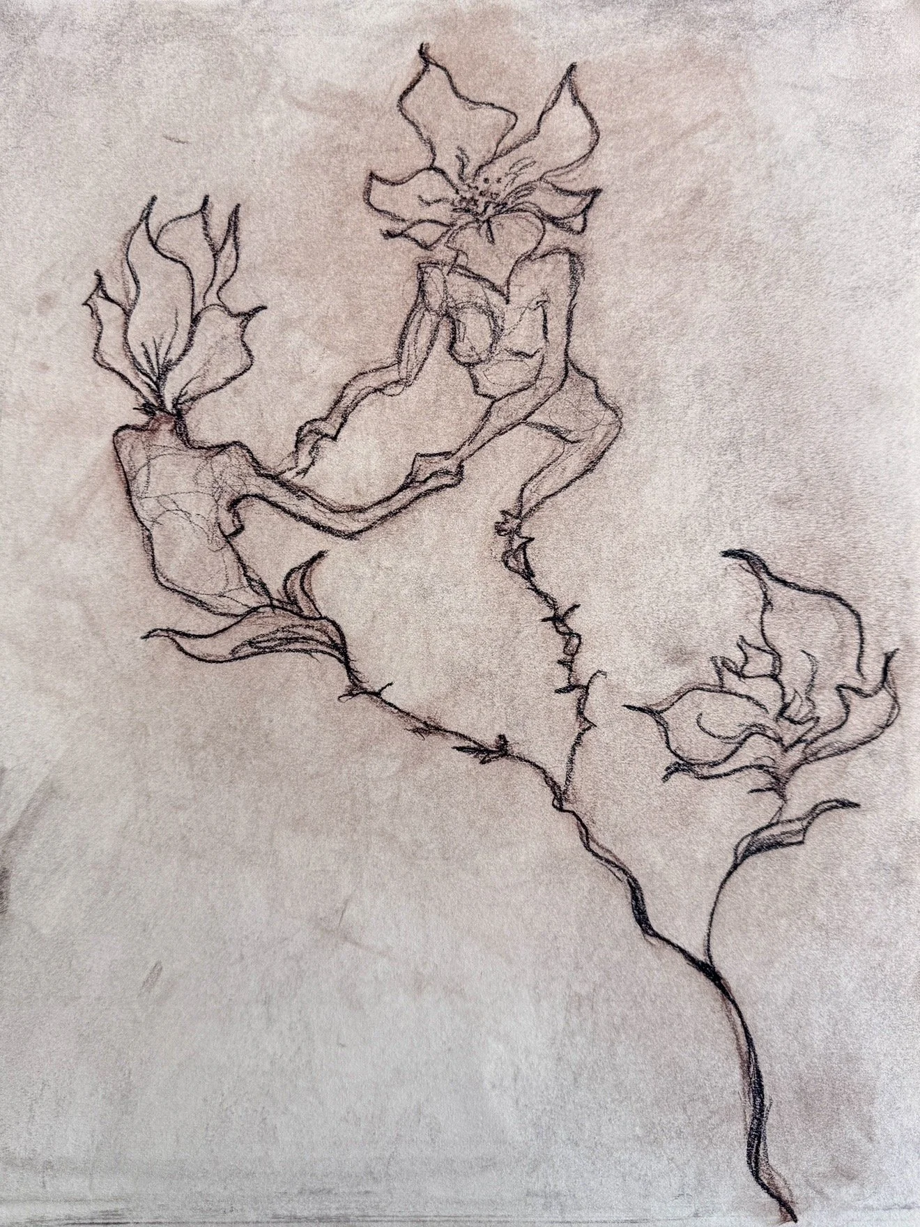 Among the Magnolias, 2026