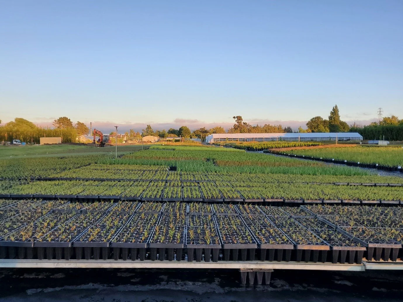 riverside sunset.jpg