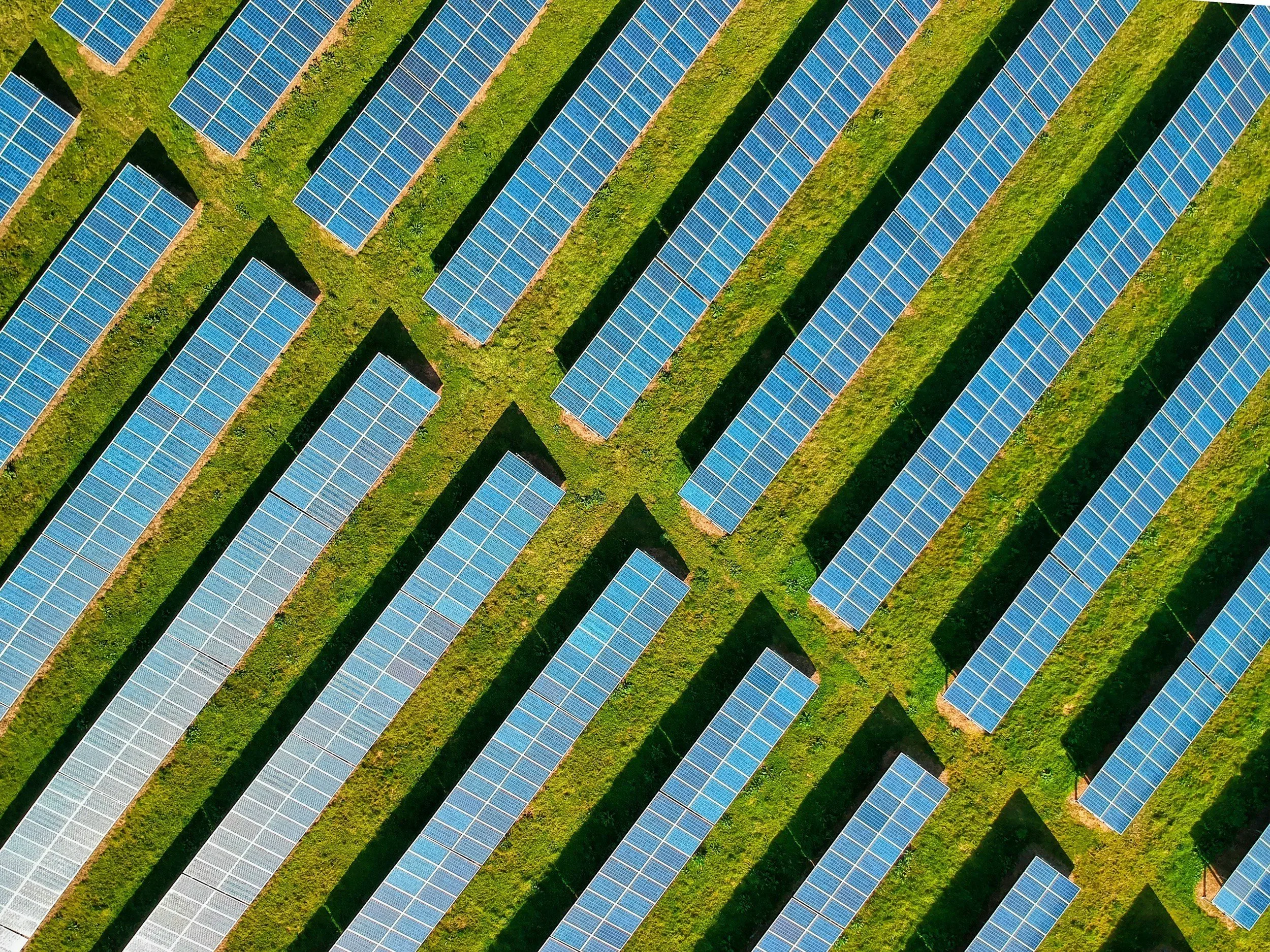 Planting Solar Farms in the South Island