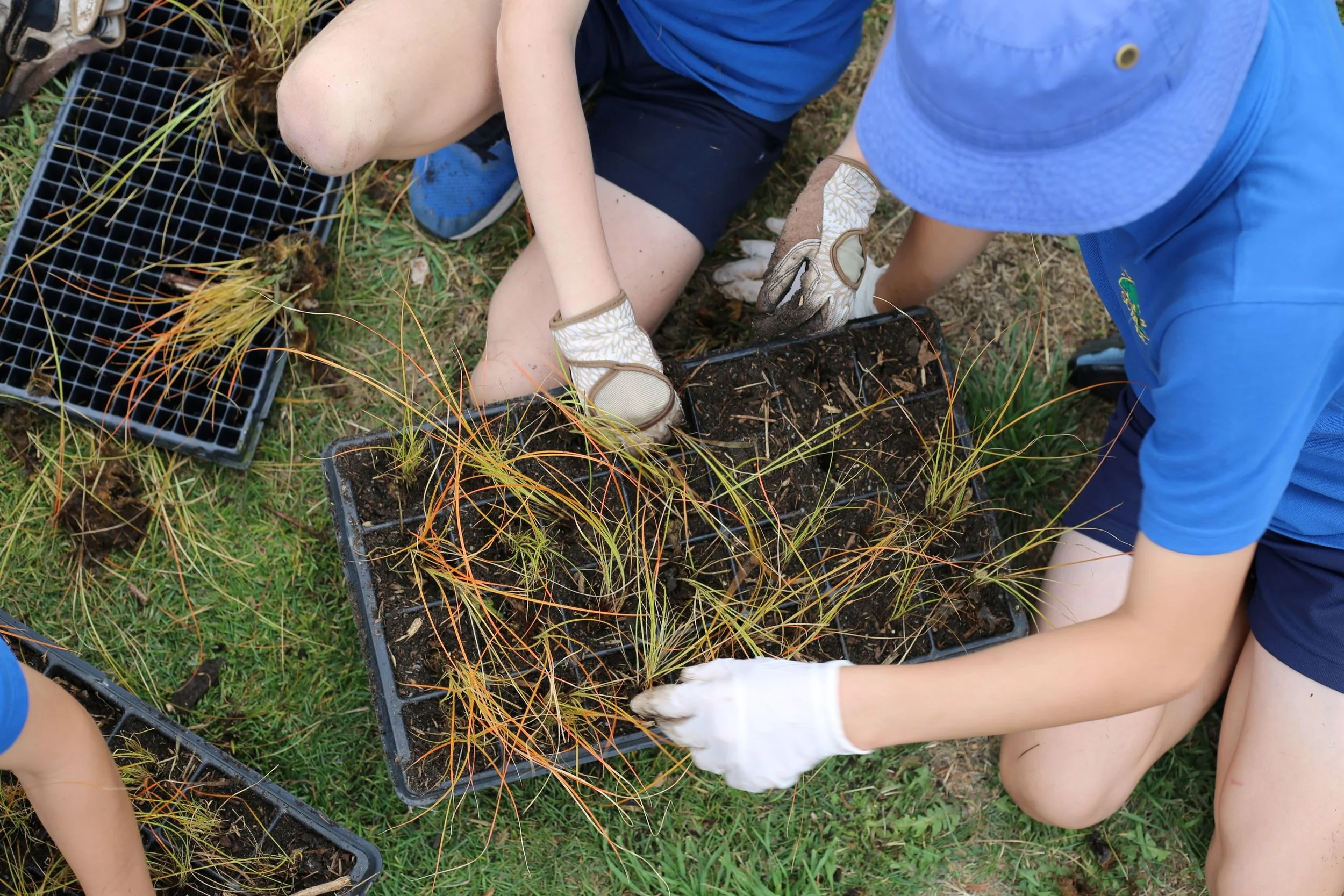 Riverside Horticulture, a Plant Nursery supports the community by donating plants to non profits like Schools.