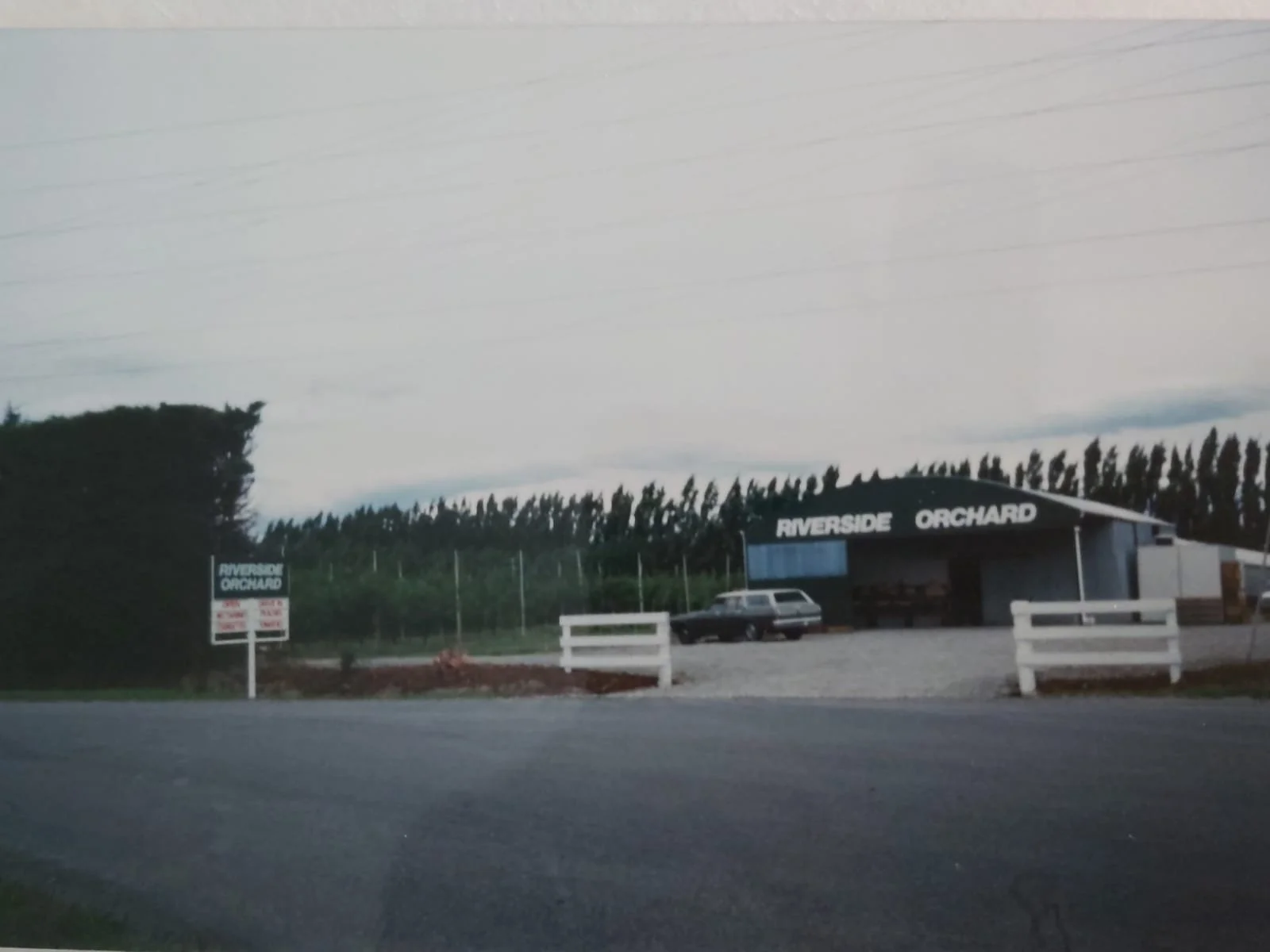 Plant nursery with over 100 years of experience..