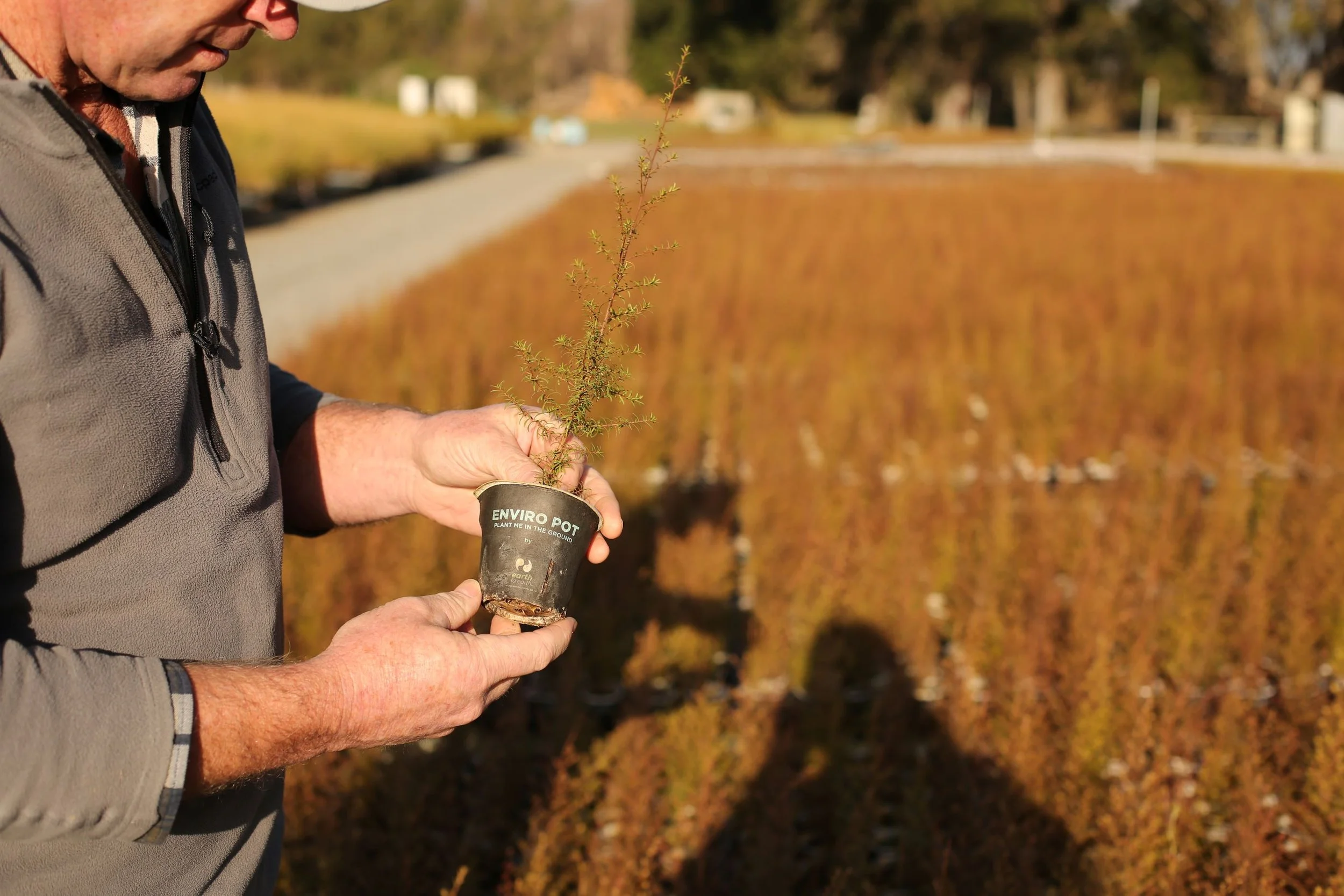 Checking enviropot resized.JPG