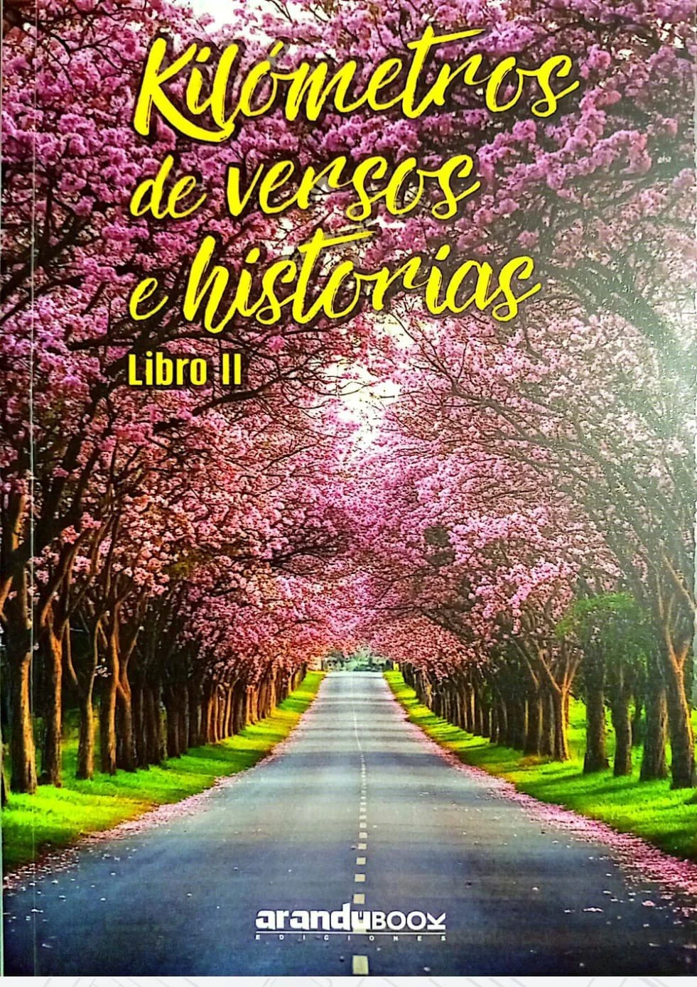 Kilómetros de versos e historias, libro II