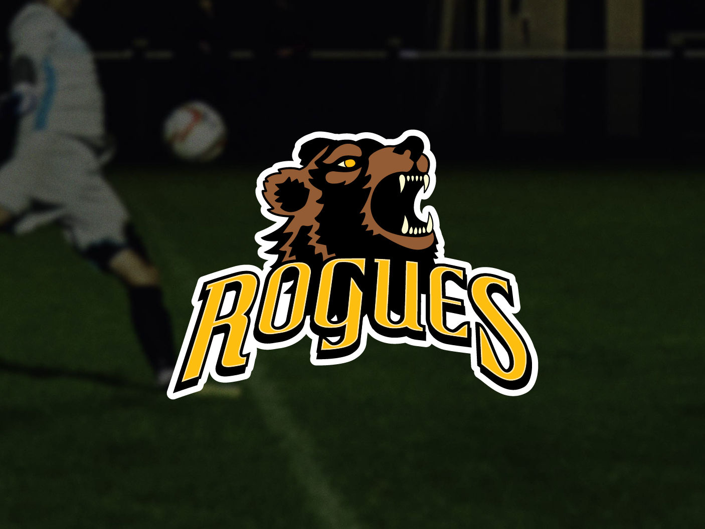 Rogues Queer Van Soccer