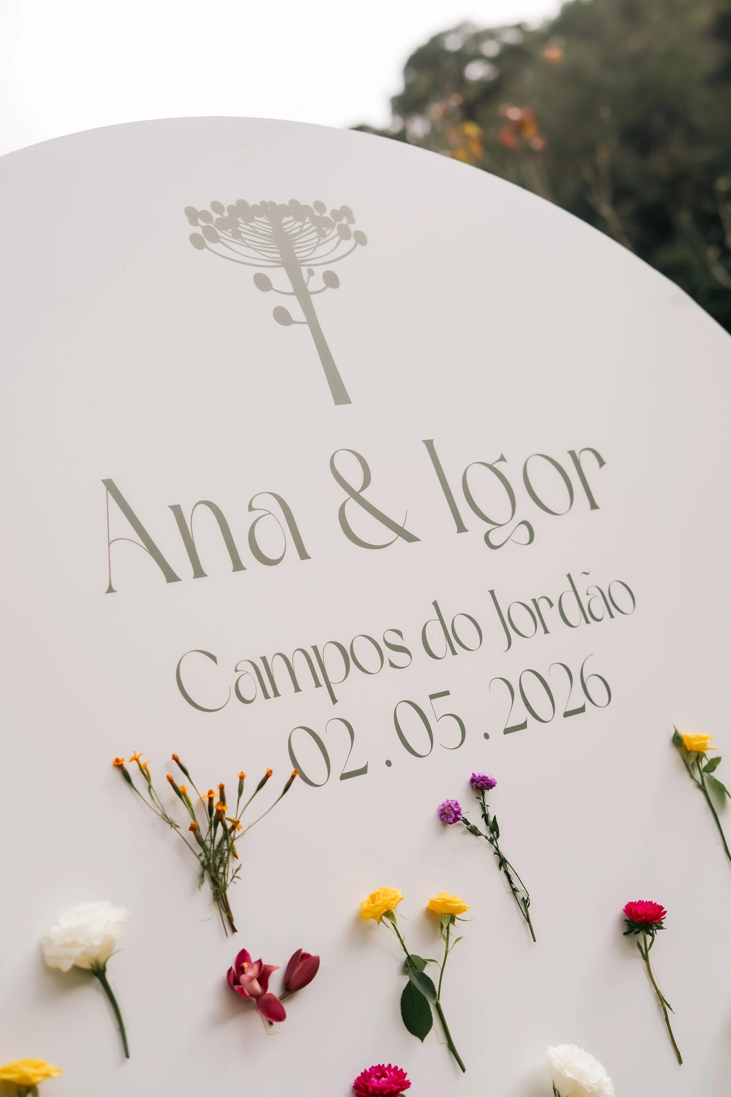 Ana_Igor_Previa-15.JPEG