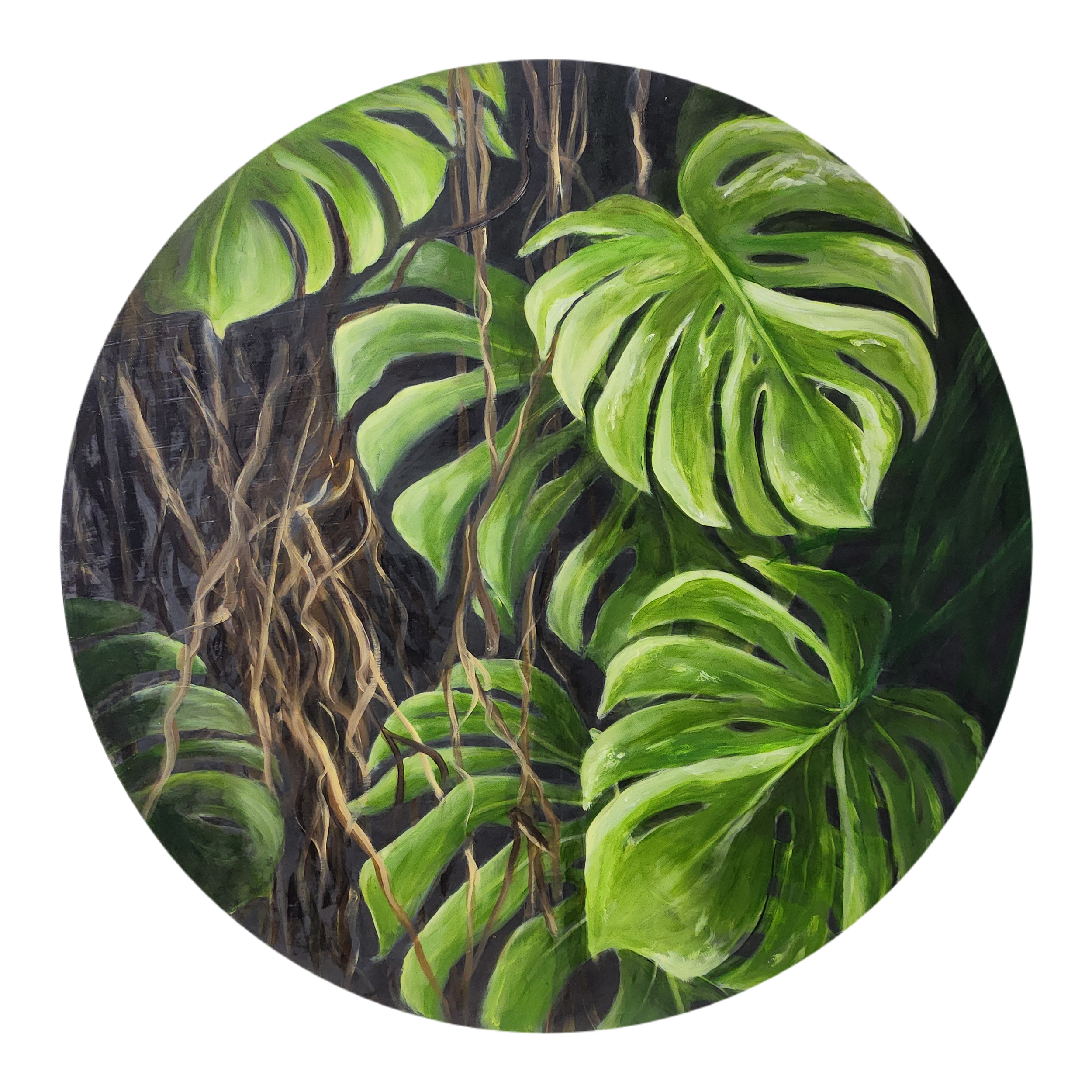 "Emerging from the dark"