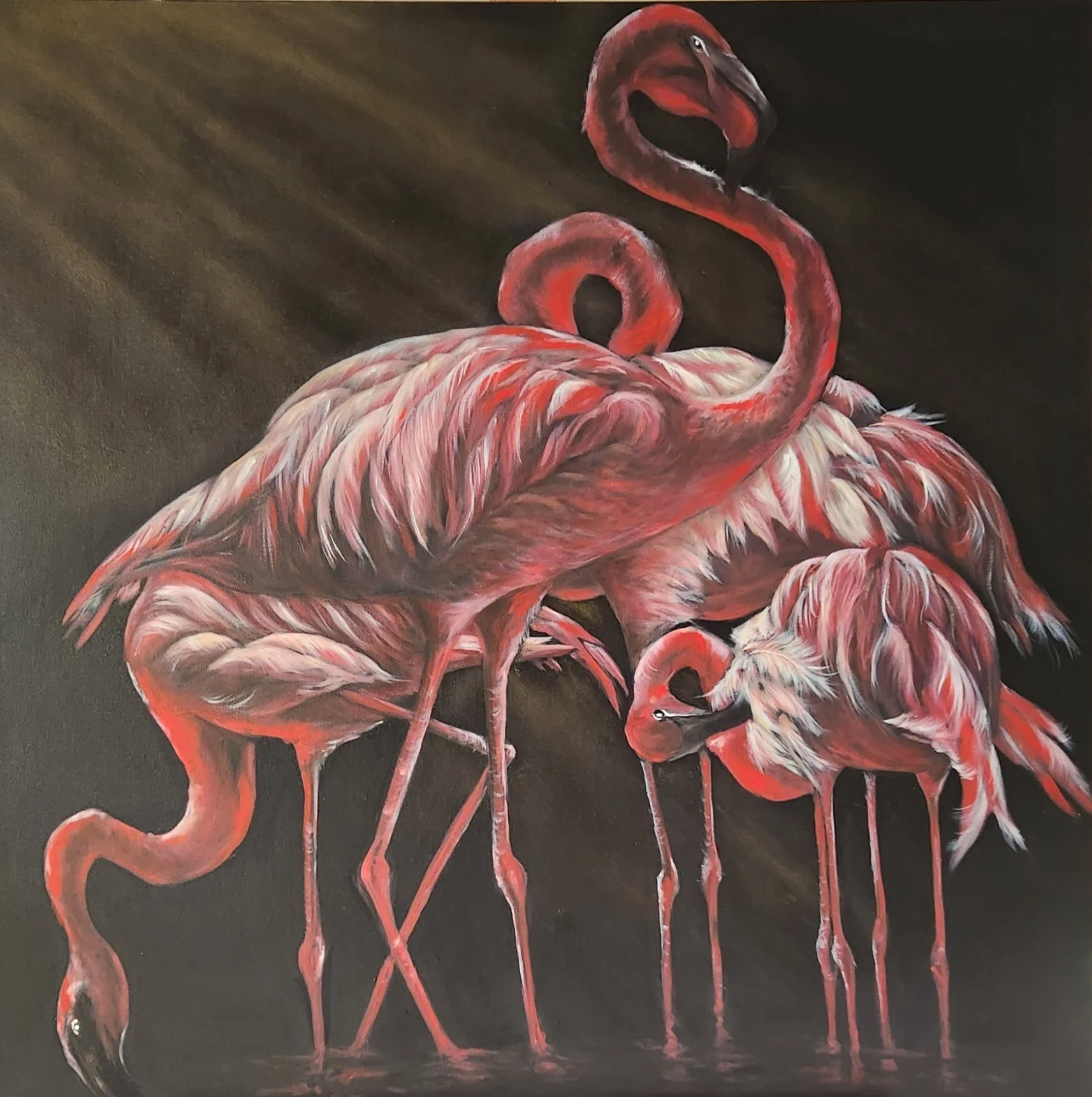 "Flamingo  Harmony"