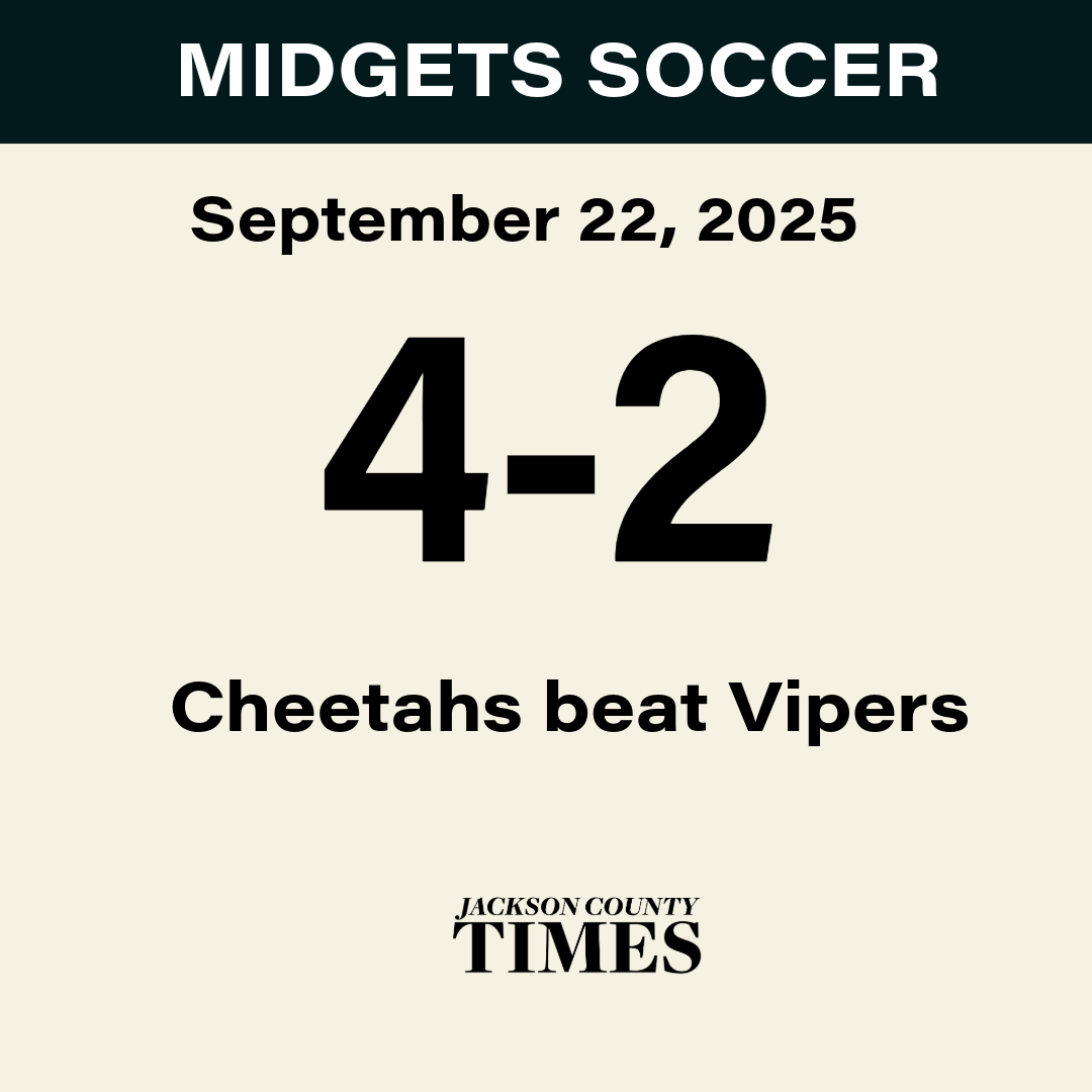 Cheetahs beat Vipers 4-2