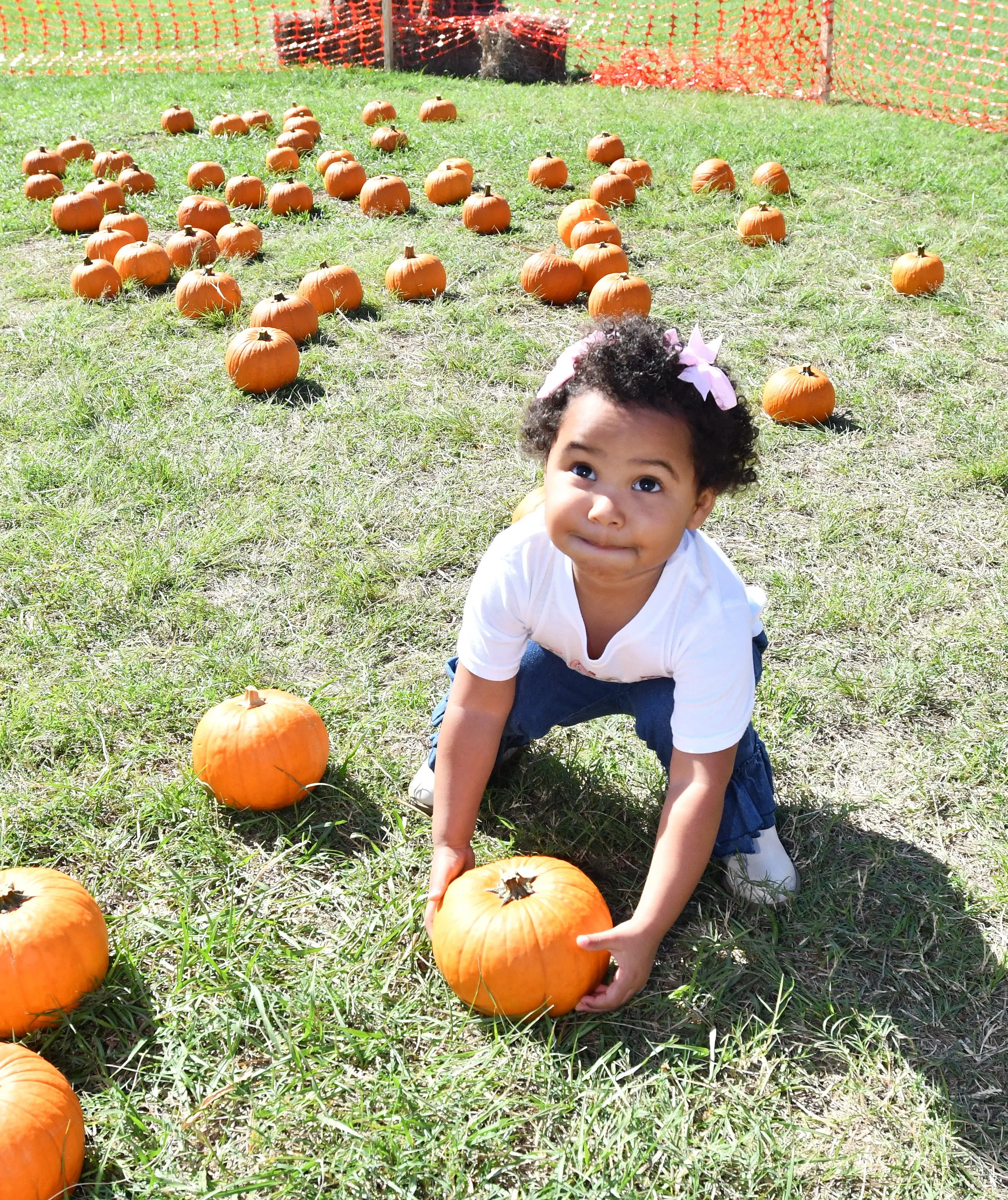 pic 2 Pumpkins in park Georgia Early.jpg