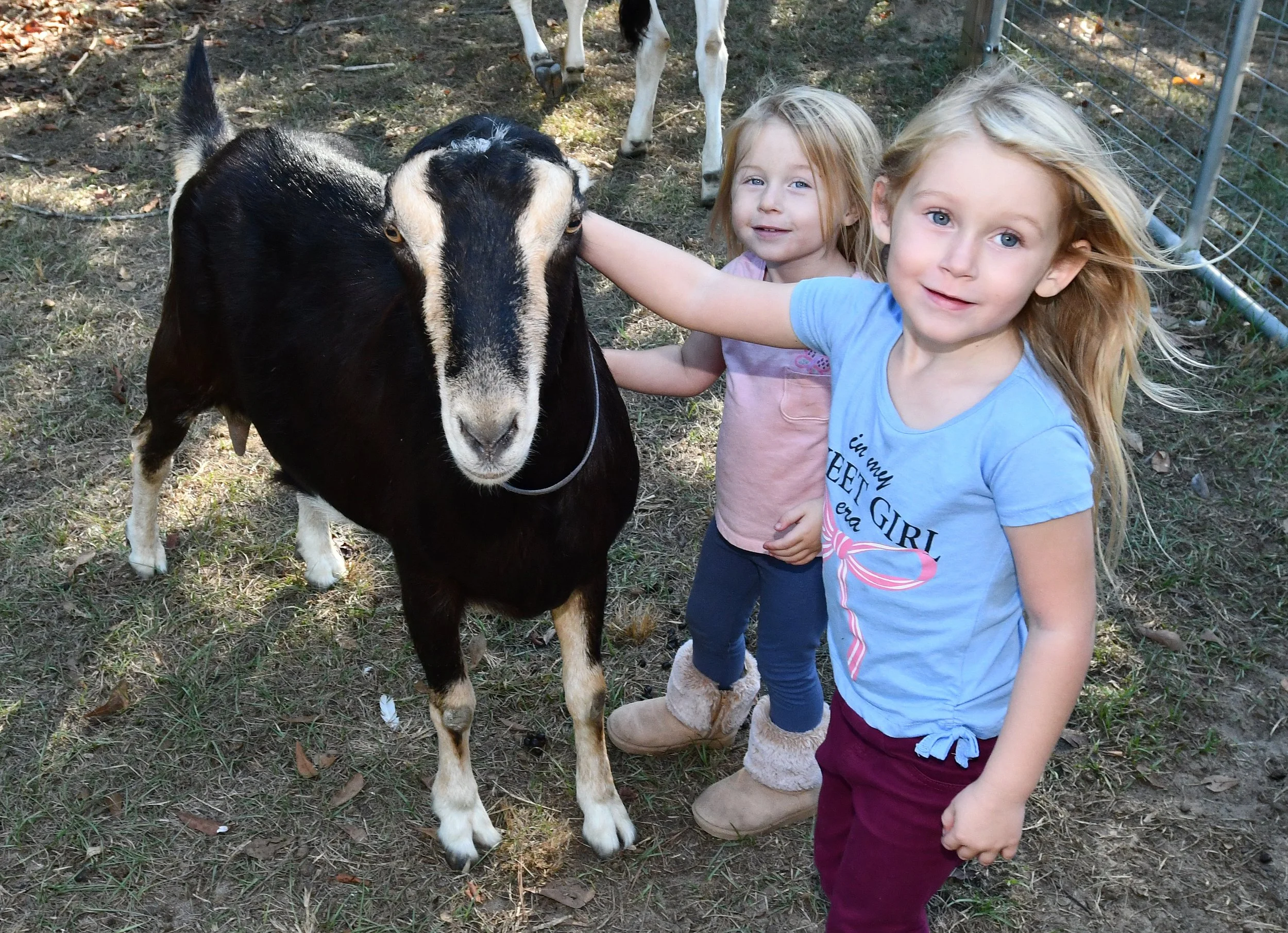 pic 5 moonpie Calliope Fortune and Laney Fortune.jpg
