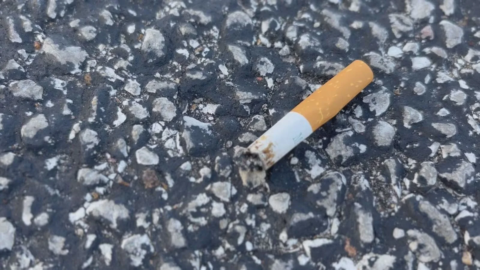 Florida State Representative proposes bill which would ban smoking 