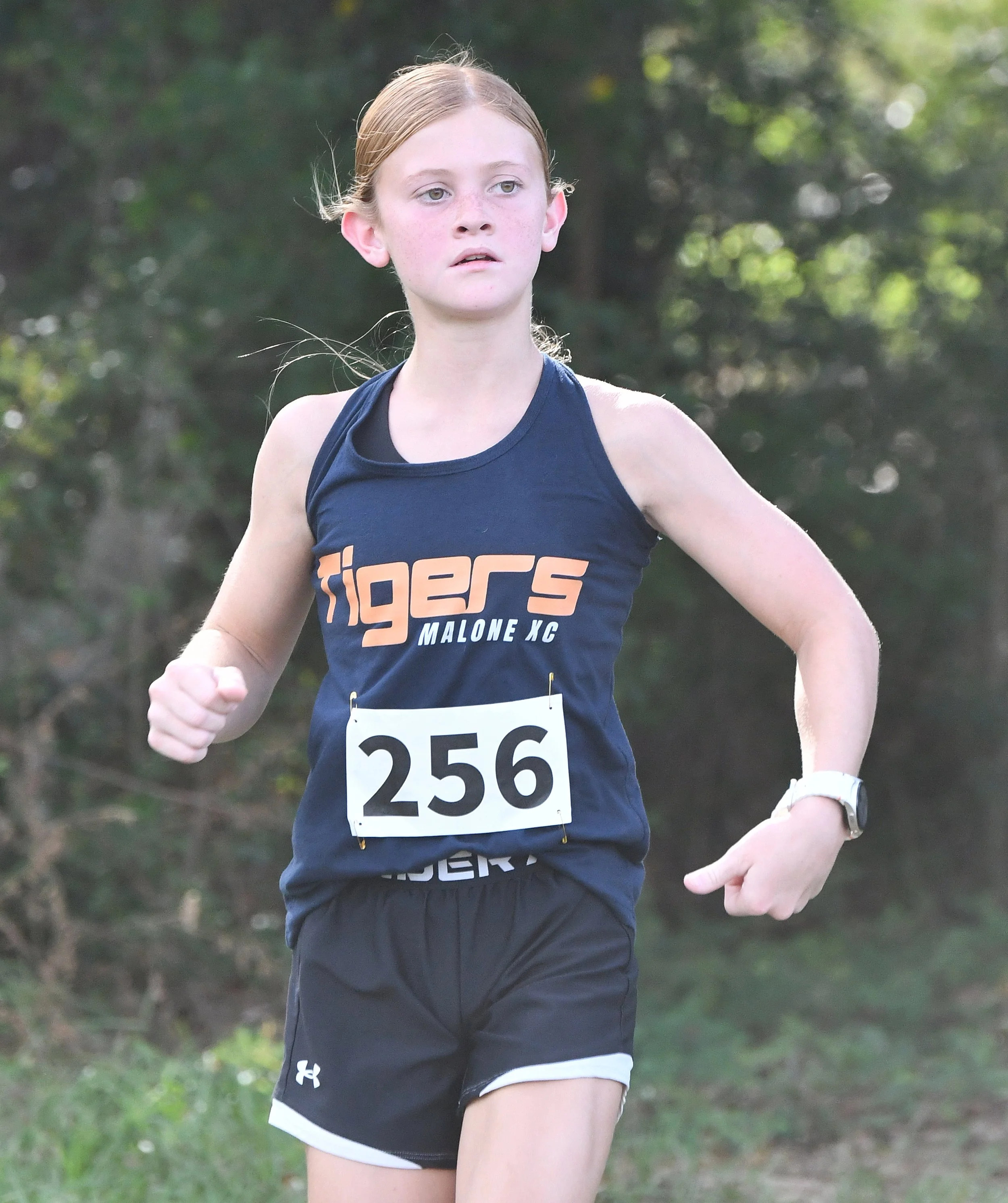 pic 3 Amsley Hummel.jpg