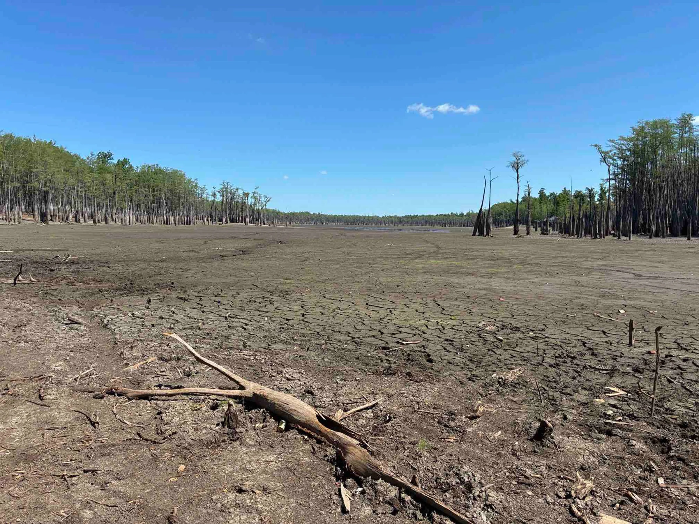 Drought Dries Up Ocheesee Pond, Opens Door for Long-Needed Boat Ramp Repairs