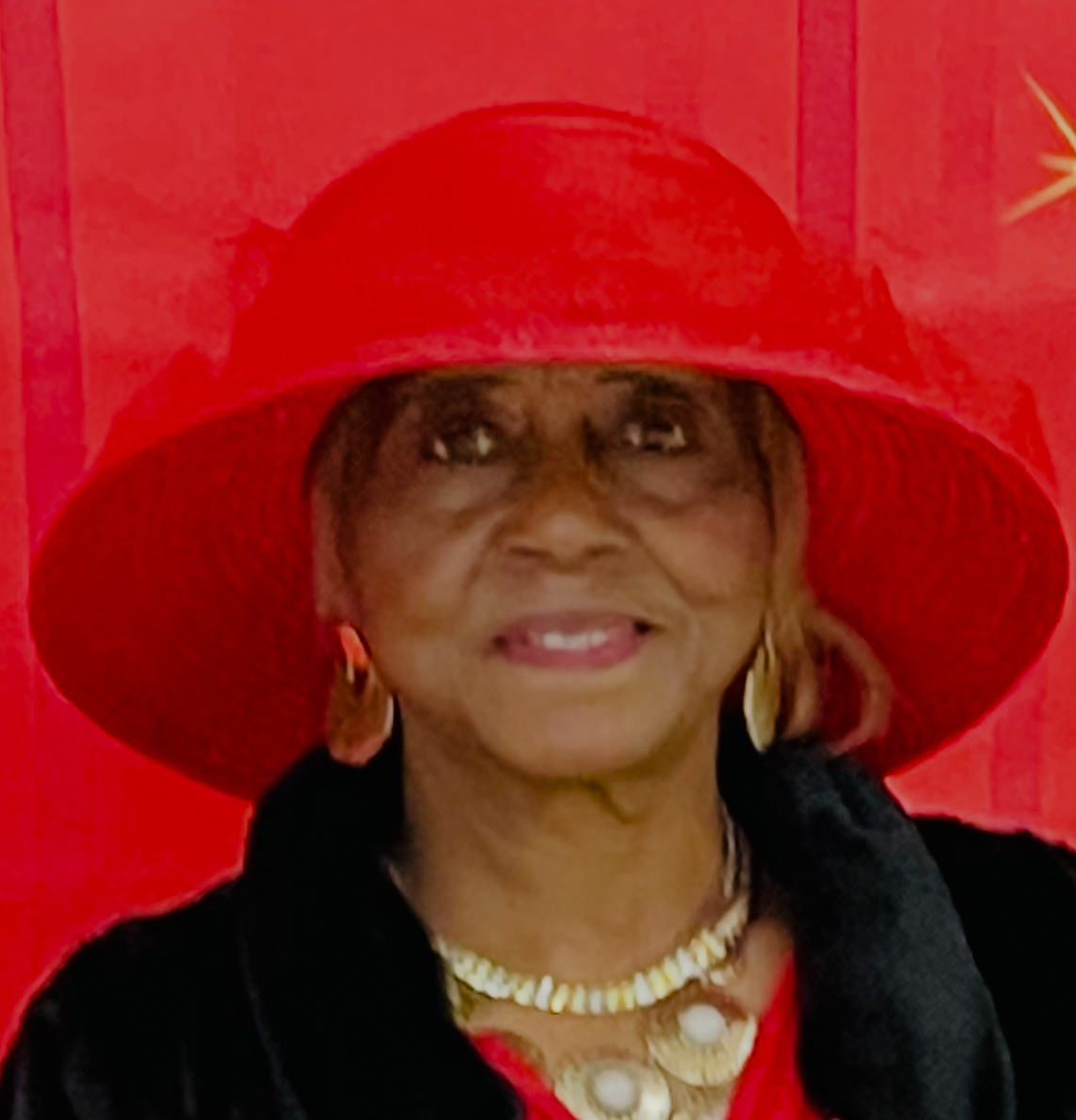 Annie Lee Bostic-Hughes 