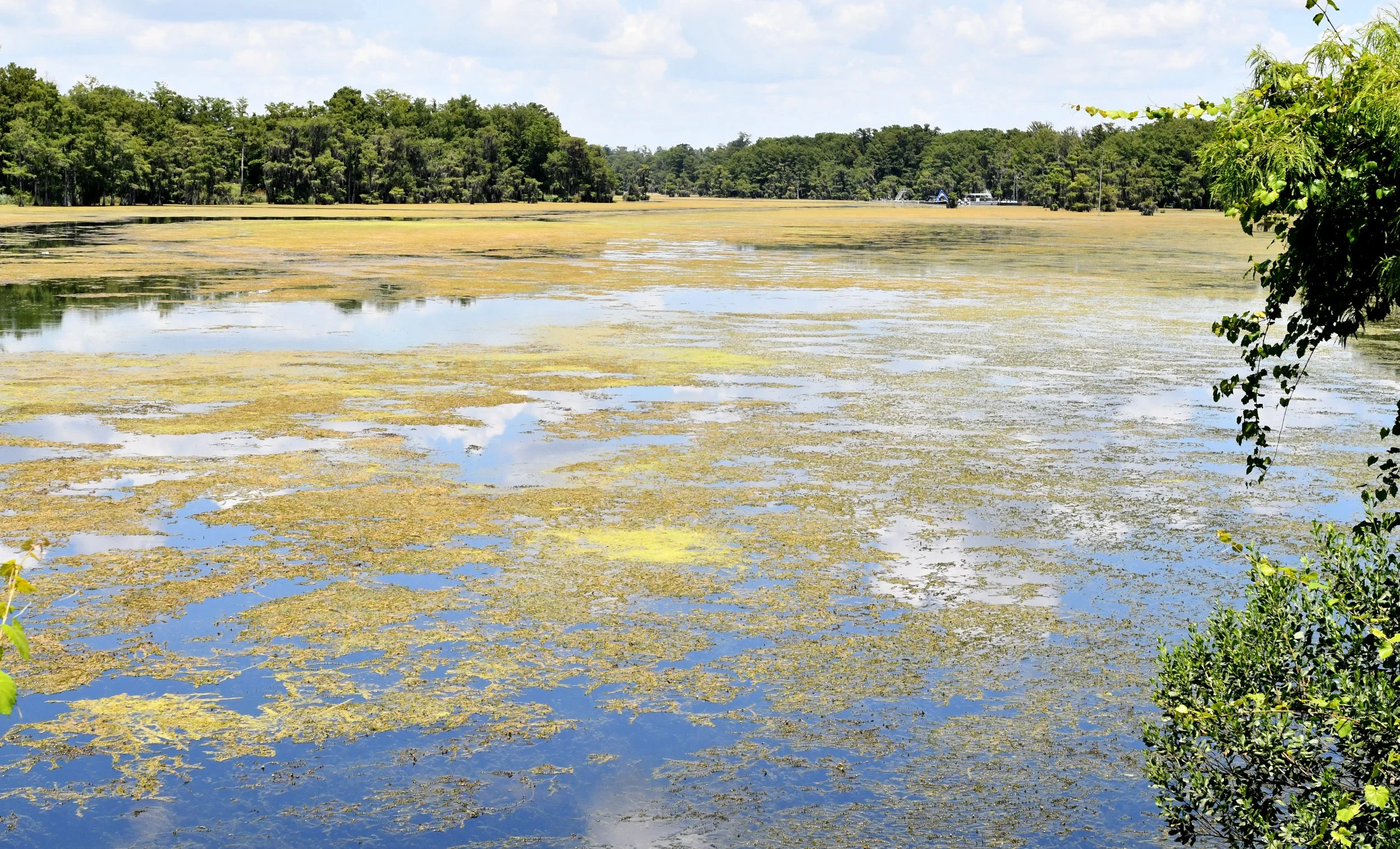 Merritt's Mill Pond Management Falls Under State Oversight, Not Jackson County