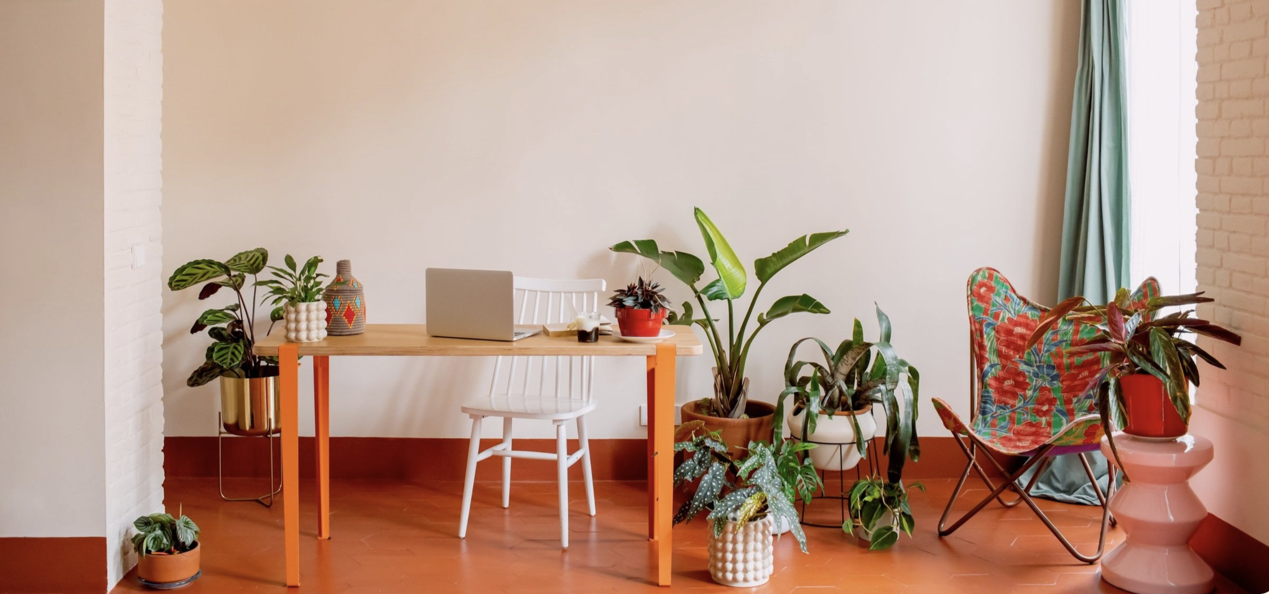Interior of a room with a wooden desk, white chair, various potted plants, a laptop, and a colorful fabric chair near a window with curtains.
