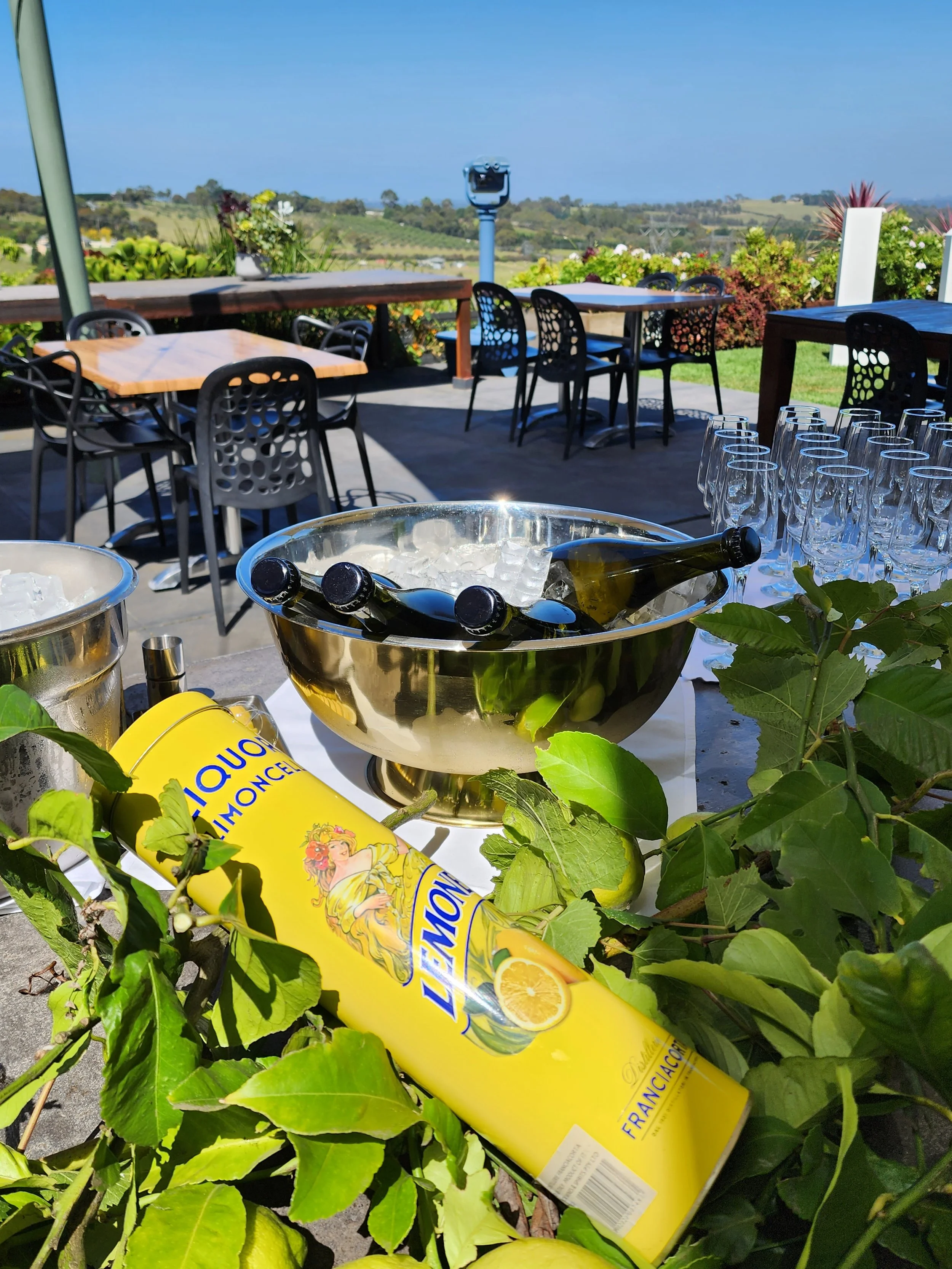 LIMONCELLO AND PROSECCO