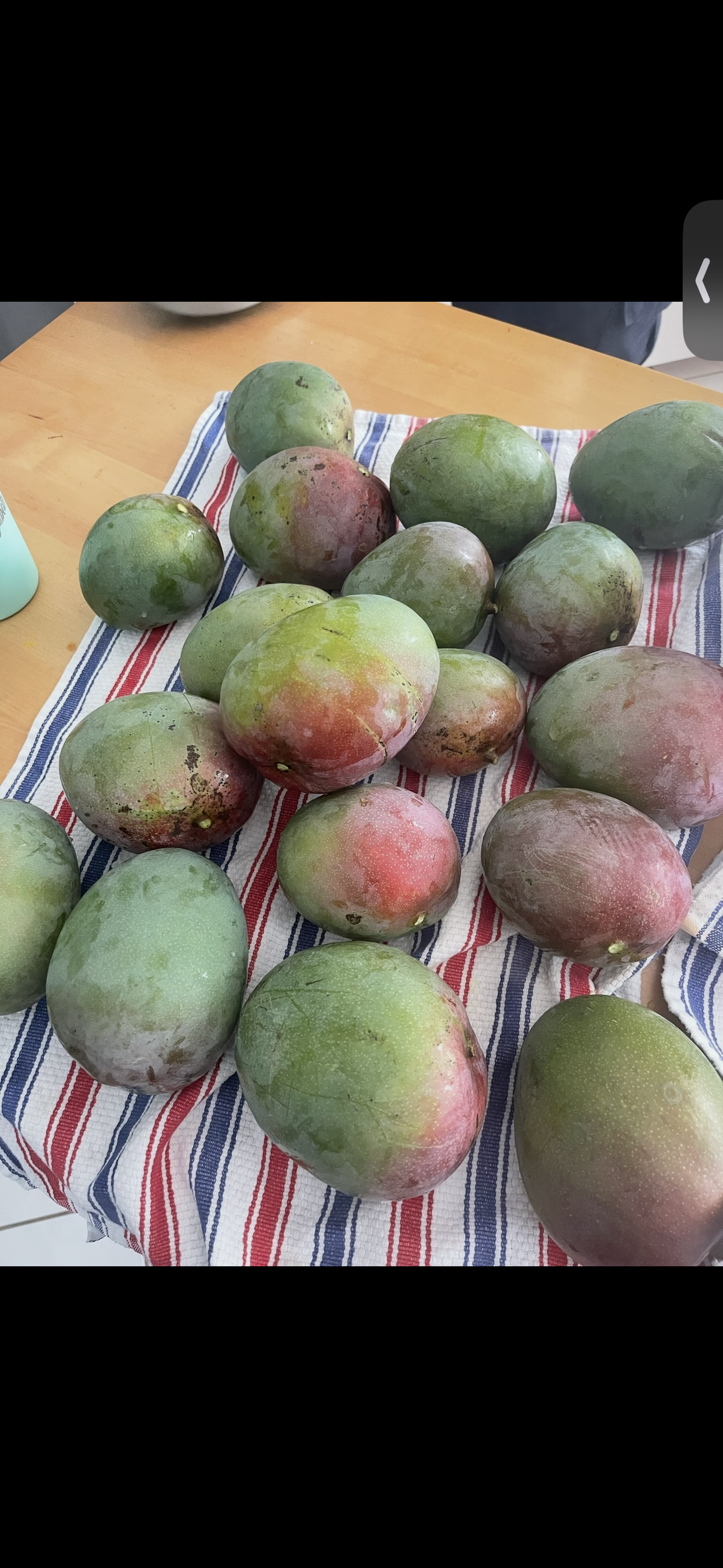 Screenshot (6).png