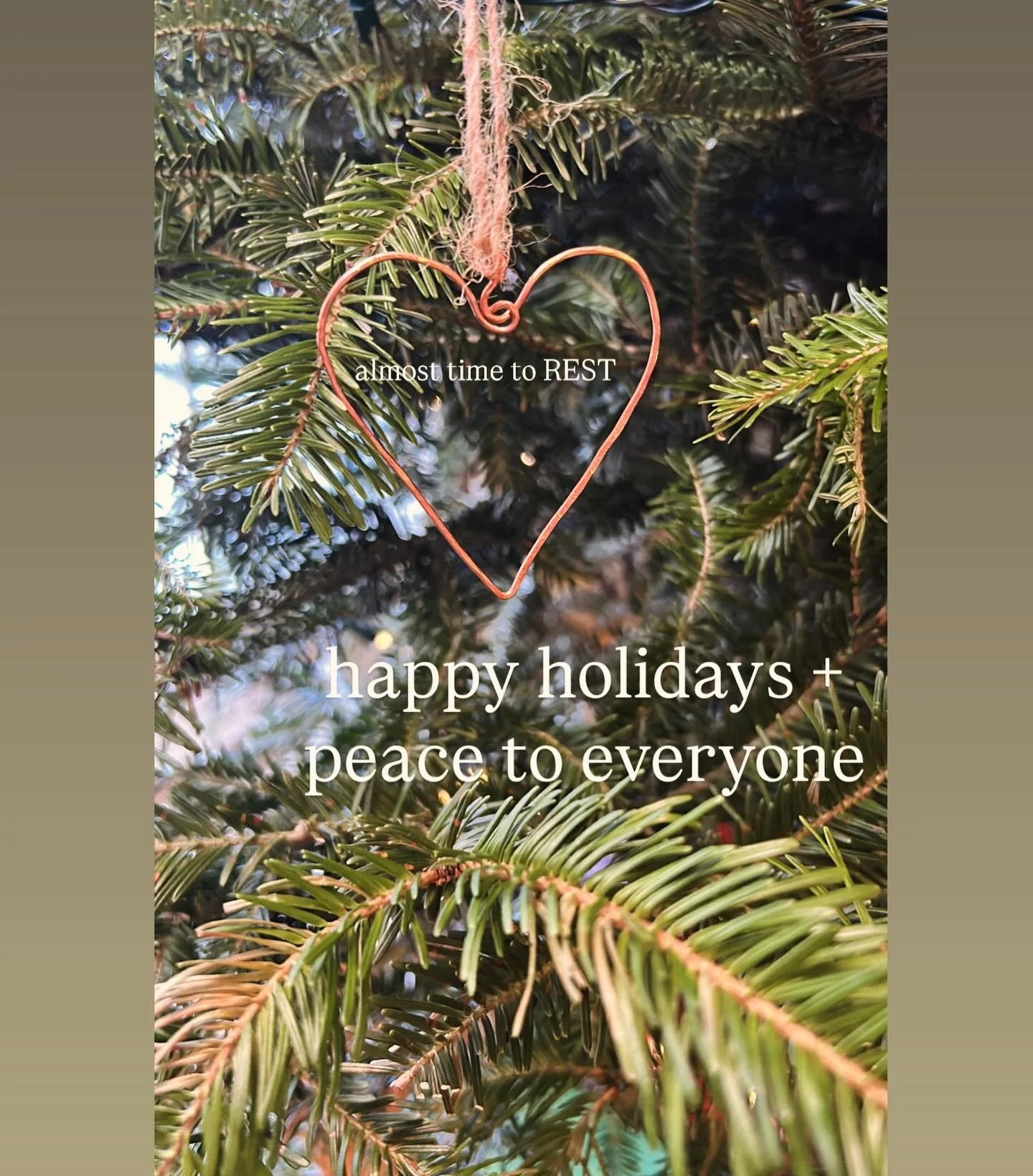 Wishing everyone everywhere a joyful holiday season and peace to you in 2026. 

Thanks for all the support from Sarah @waterfordvillagefarm + @cornerstoreva since my start in 2018 &hellip;and then Leah+Ami @birchtreebookstore + @foliageplantshopva wi