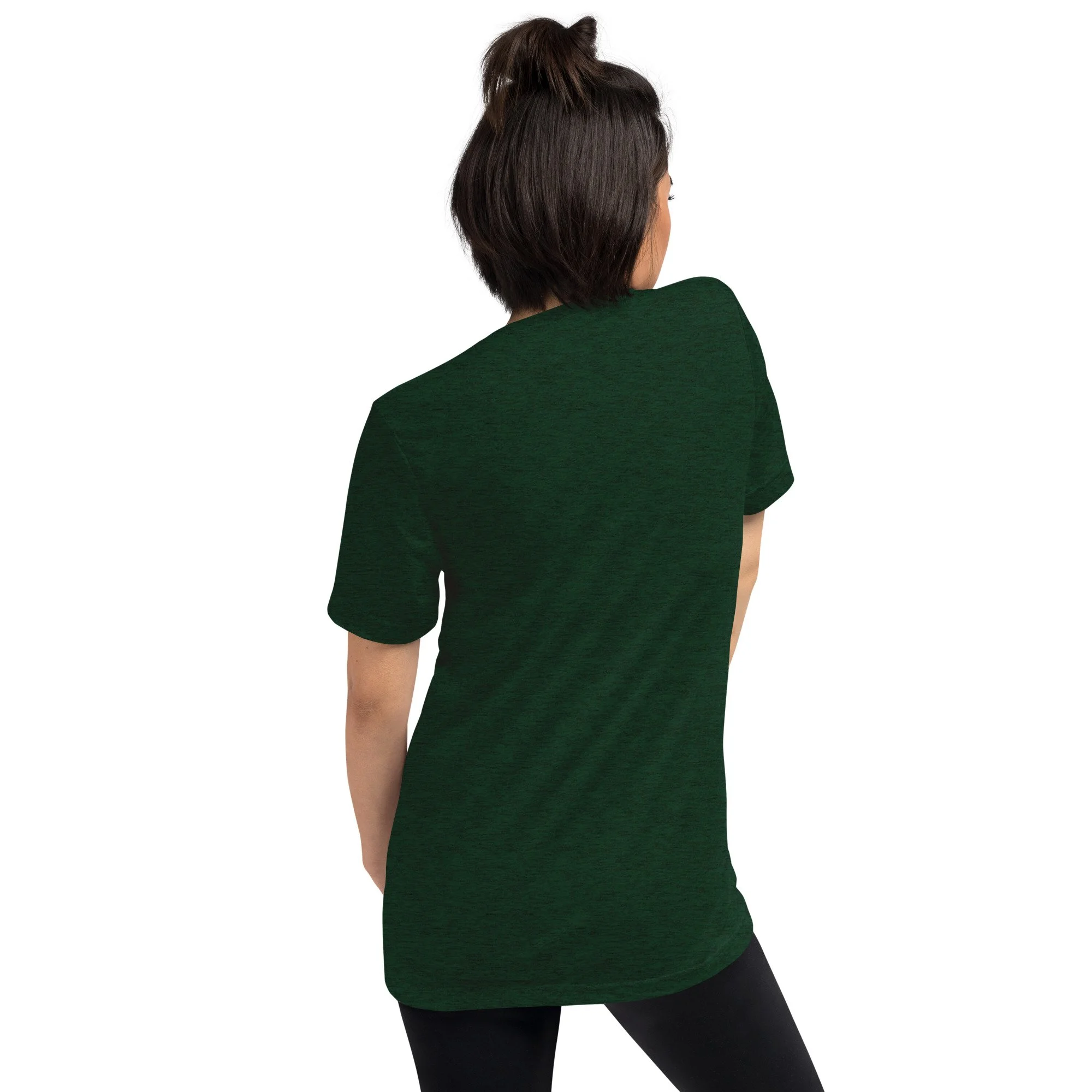 unisex-tri-blend-t-shirt-emerald-triblend-back-687ce791376e1.jpg