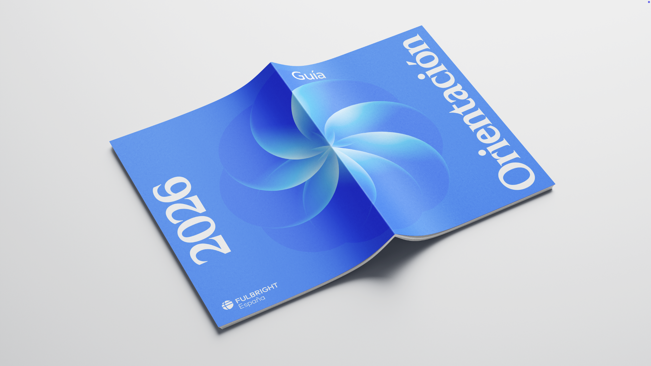 Captura de pantalla 2026-07-26 a las 17.48.00.png