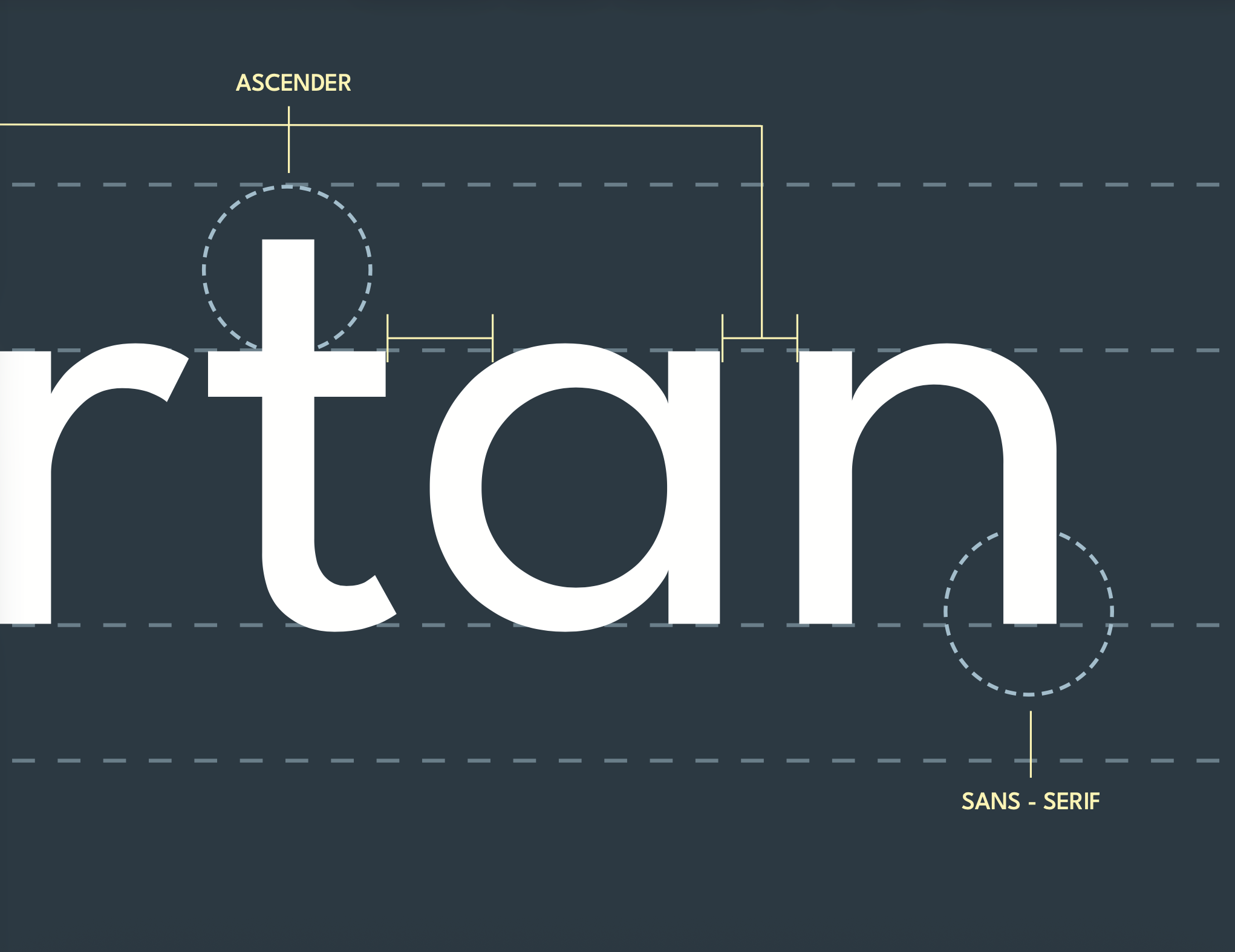 Screenshot 2026-01-28 at 10.49.14 AM.png