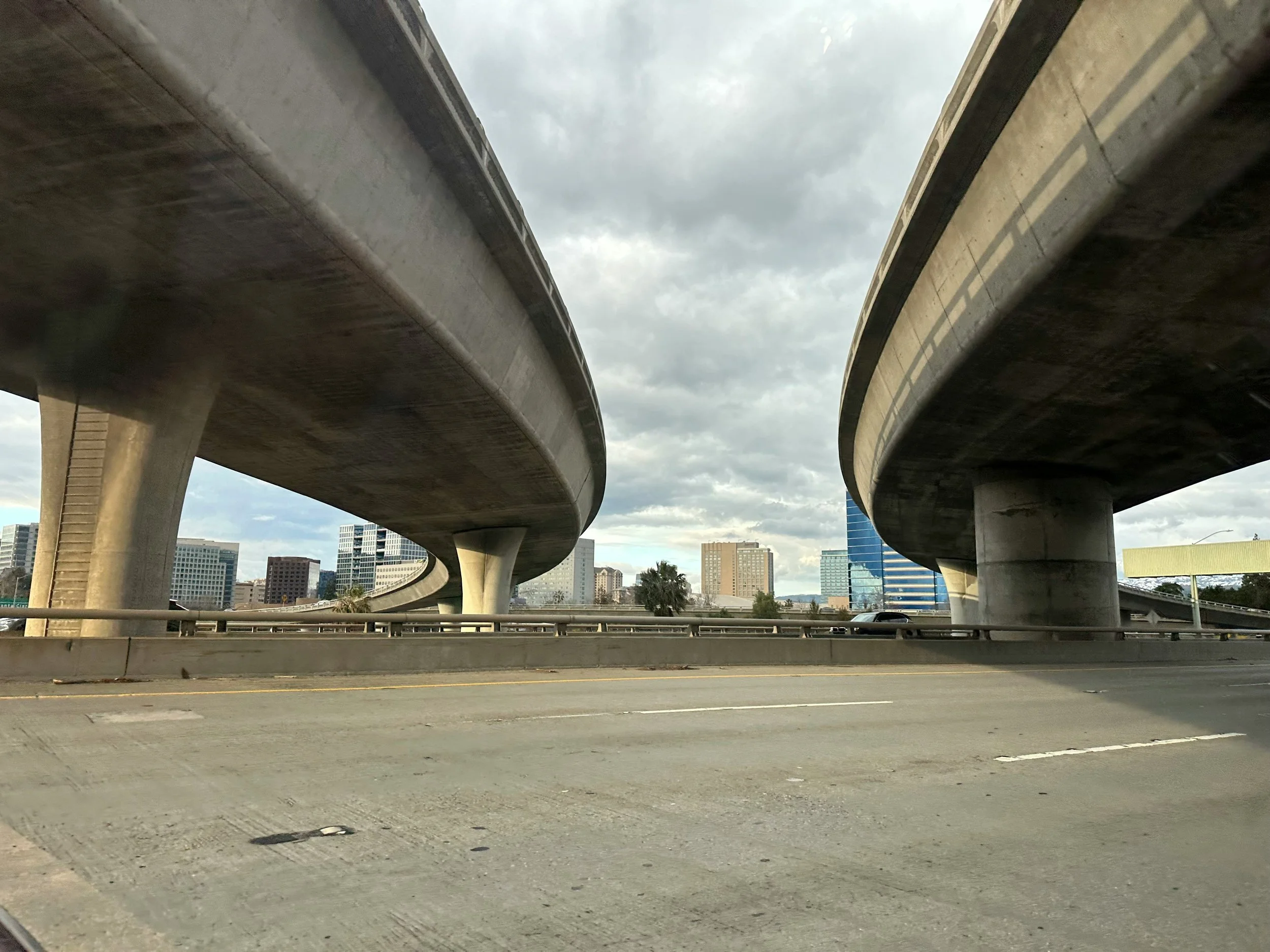 One of These Days — Texas Bluebonnets and Buc-ees