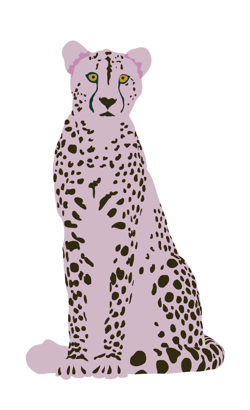 Illustration of a cheetah with a light purple coat and dark spots, set against a black background.