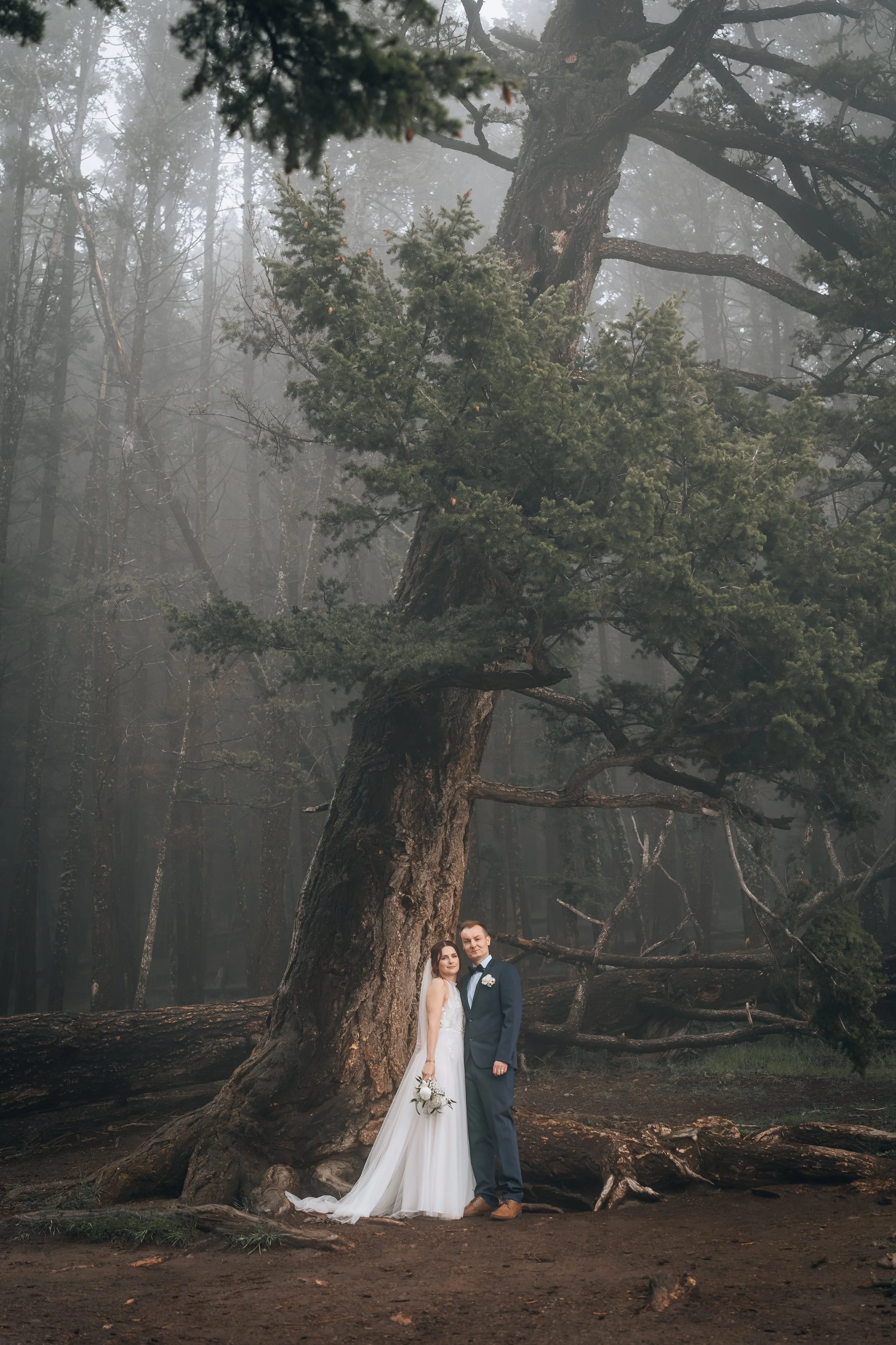 Wedding portrait photography