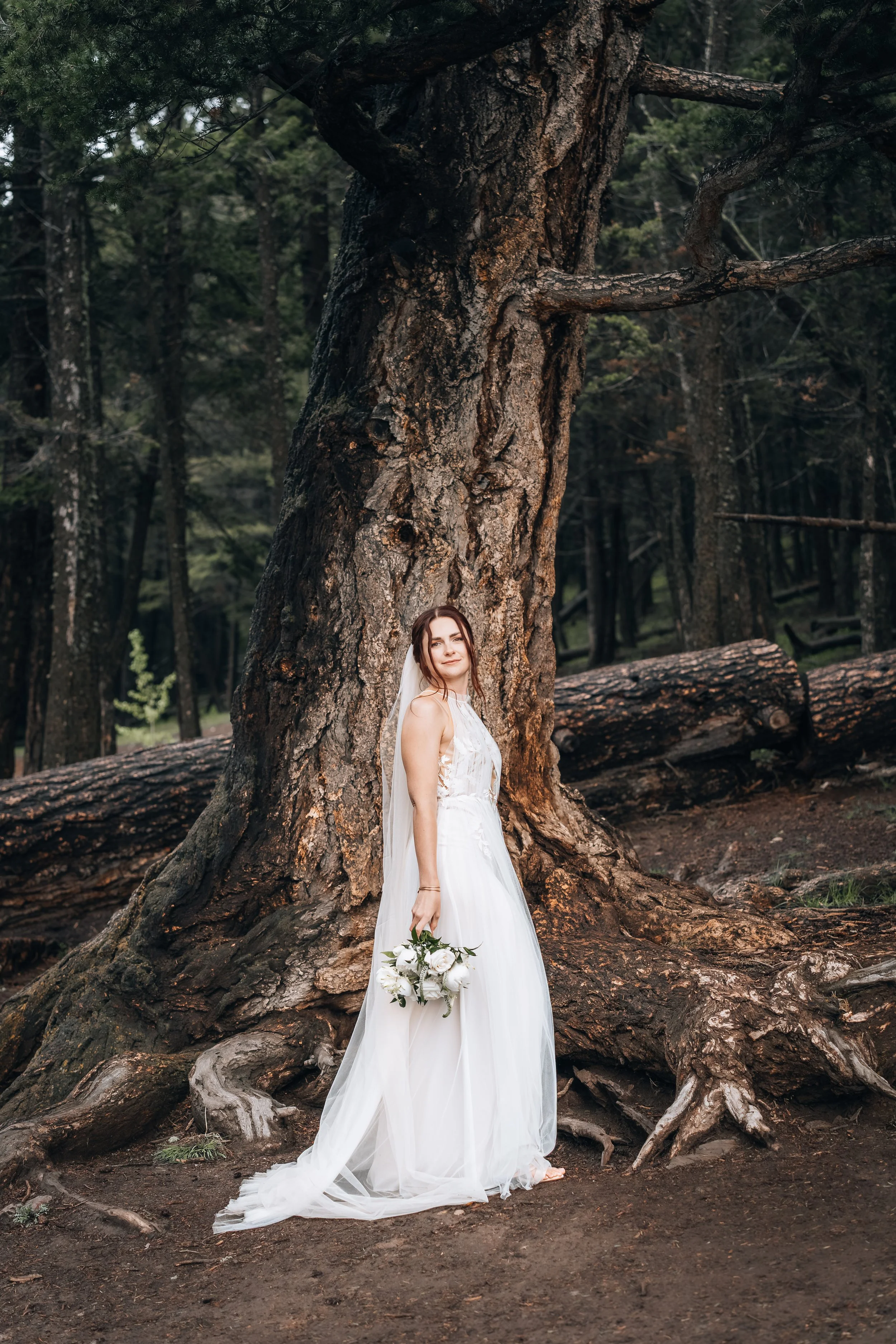 Wedding photoshoot