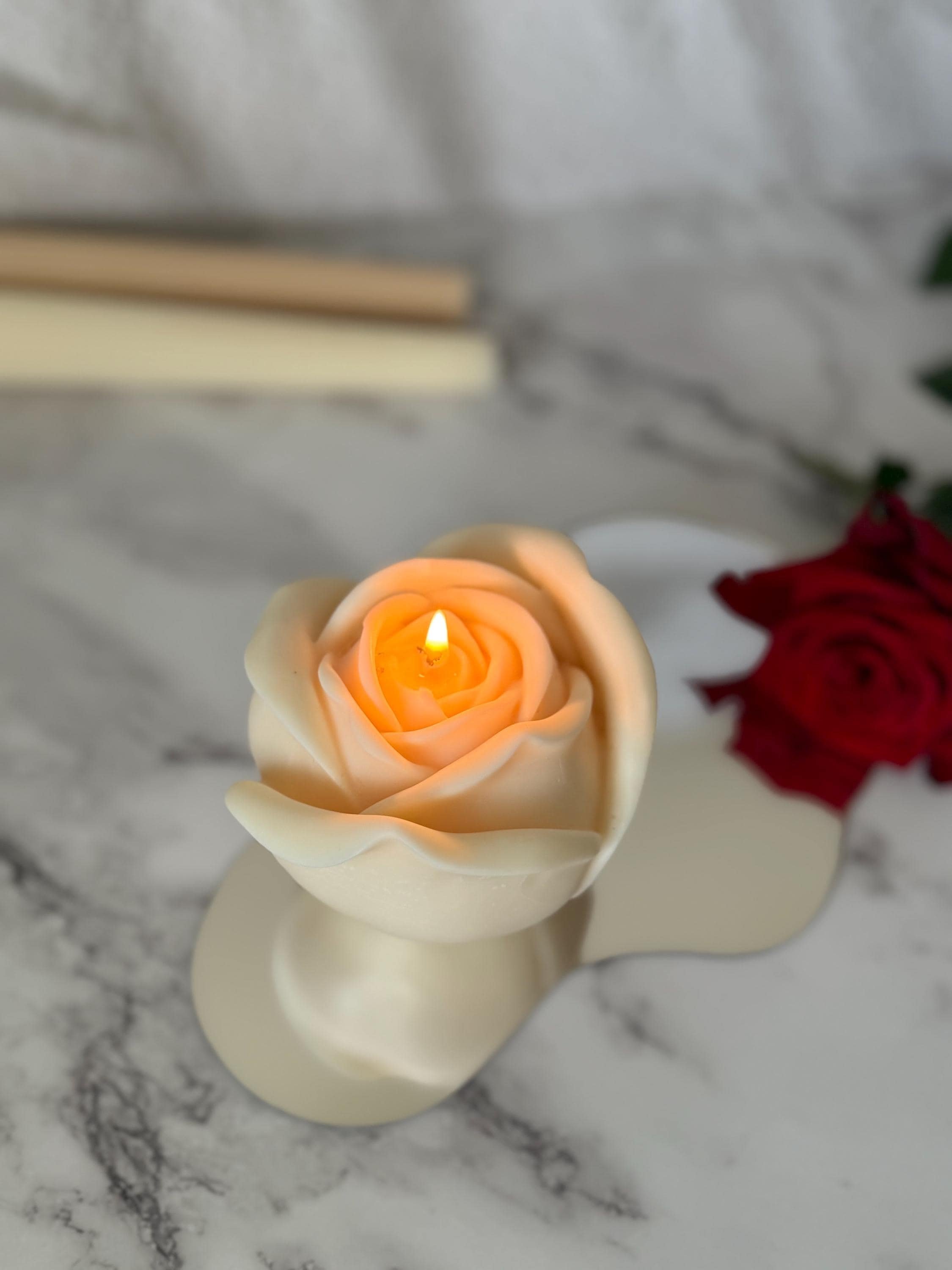 https://i.etsystatic.com/27836641/r/il/9a2511/6703322675/il_fullxfull.6703322675_h8t7.jpg