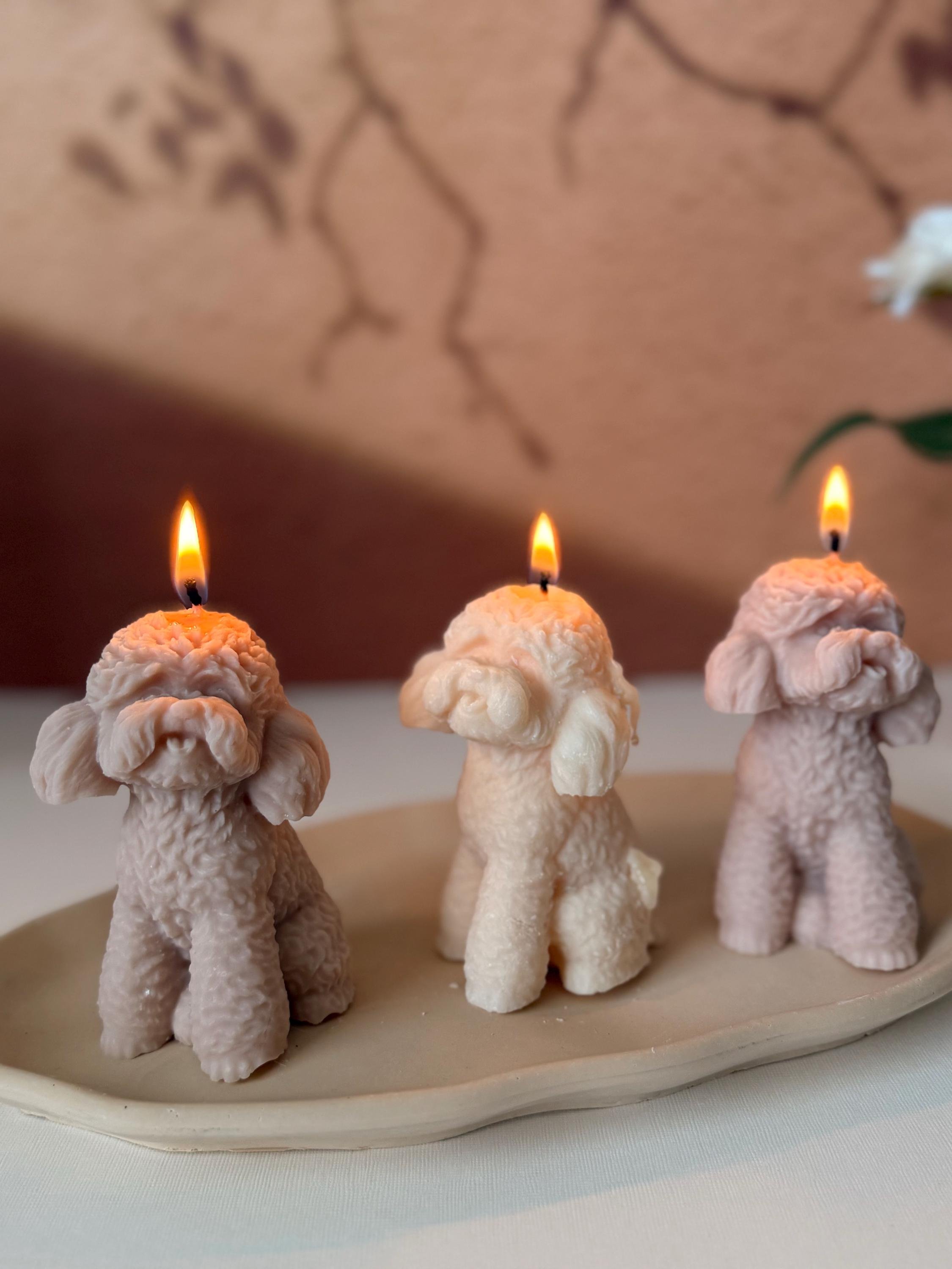 https://i.etsystatic.com/27836641/r/il/608865/6688724556/il_fullxfull.6688724556_d5e9.jpg