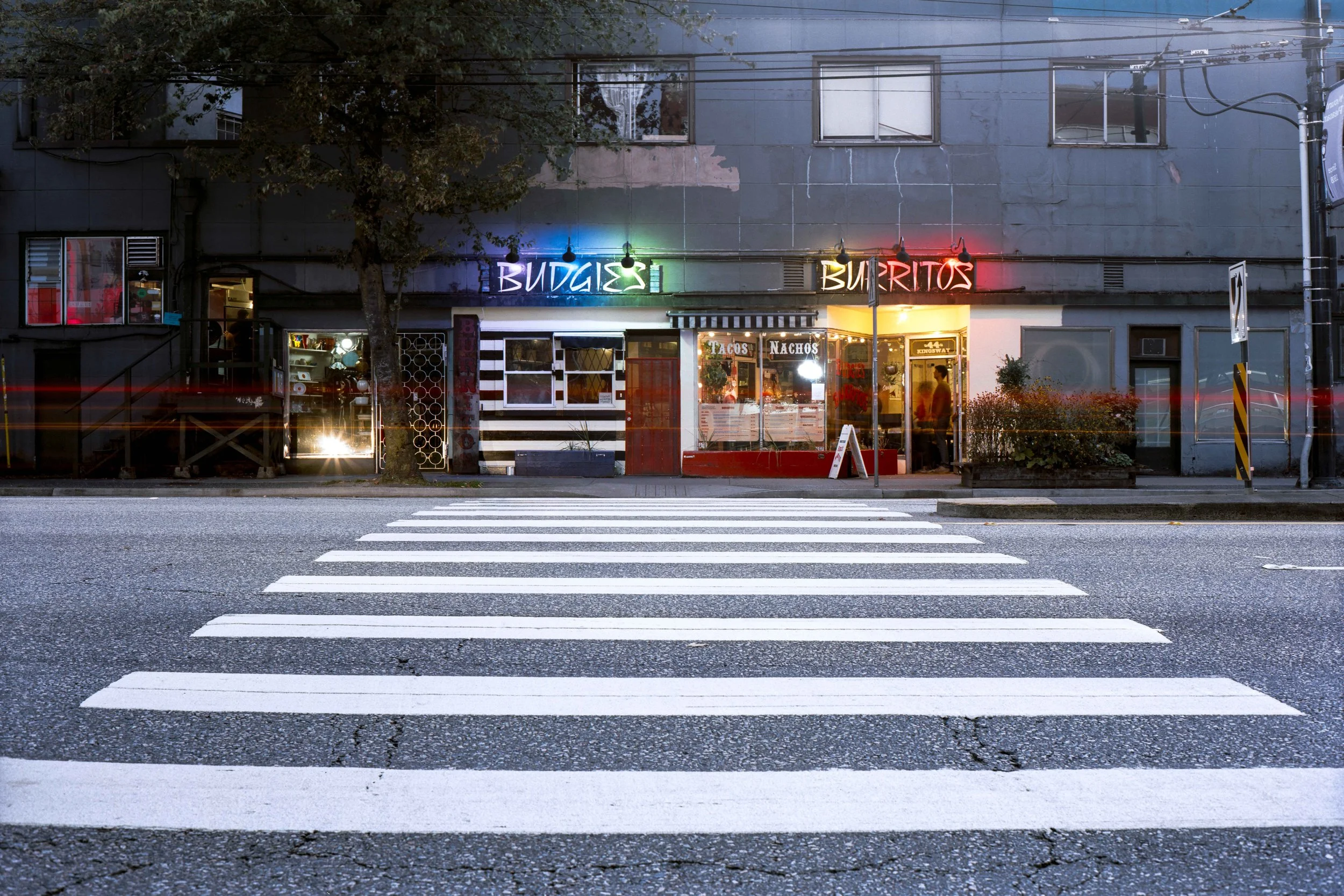 BUDGIES BURRITOS.jpg