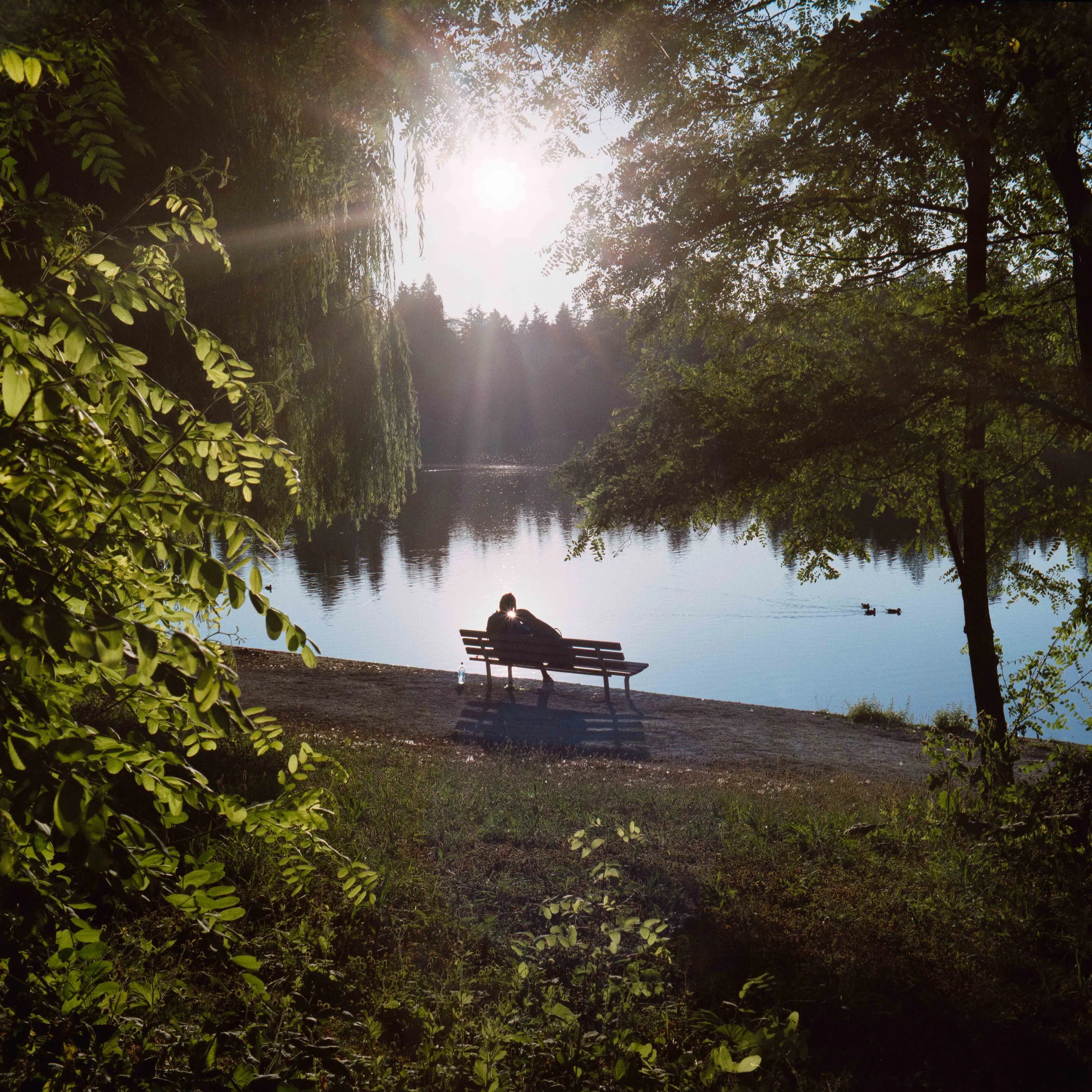 Lost Lagoon Lake, Vancouver Canada