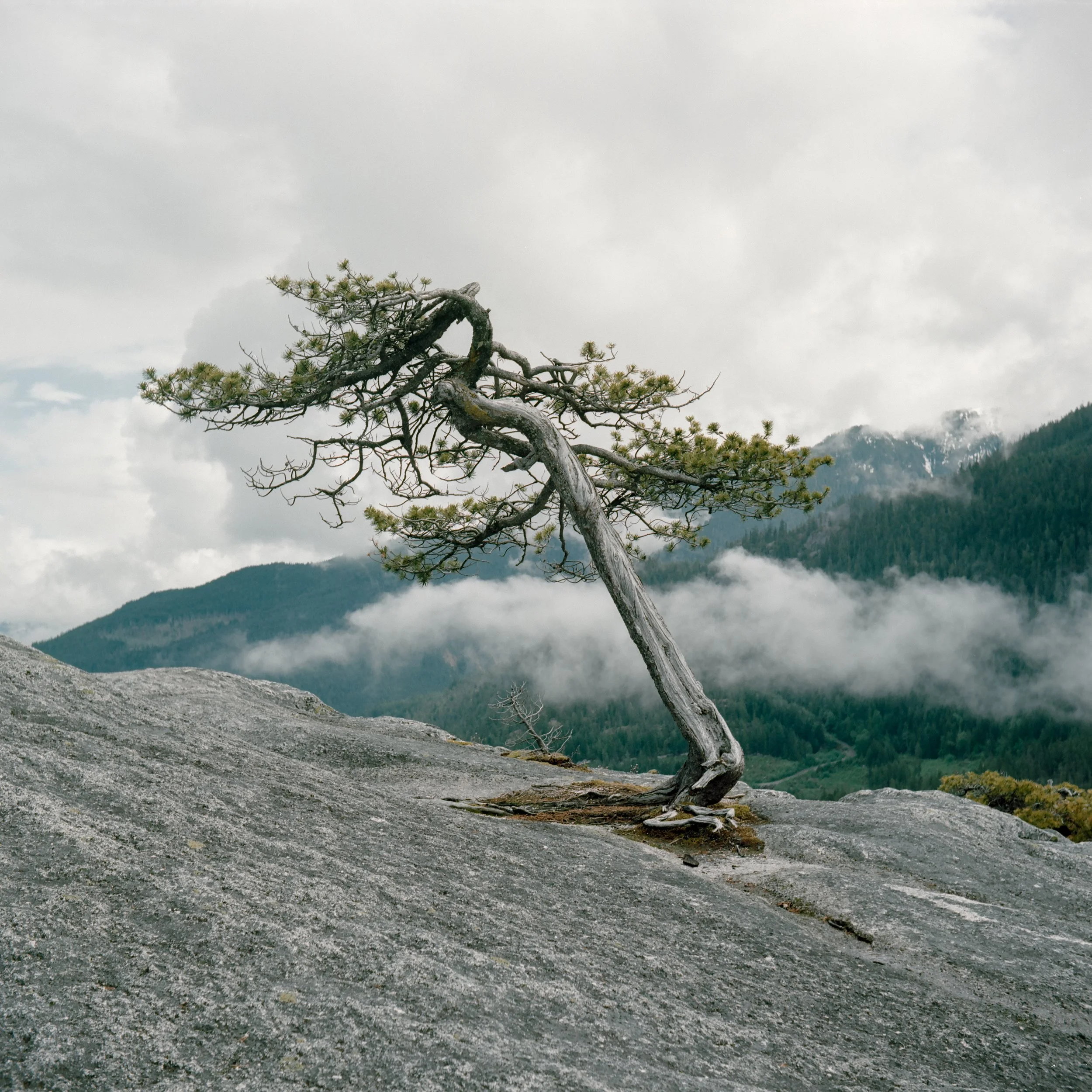 Chief Mountain, Squamish Canada